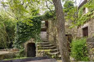 A stone building with a tree in front of it