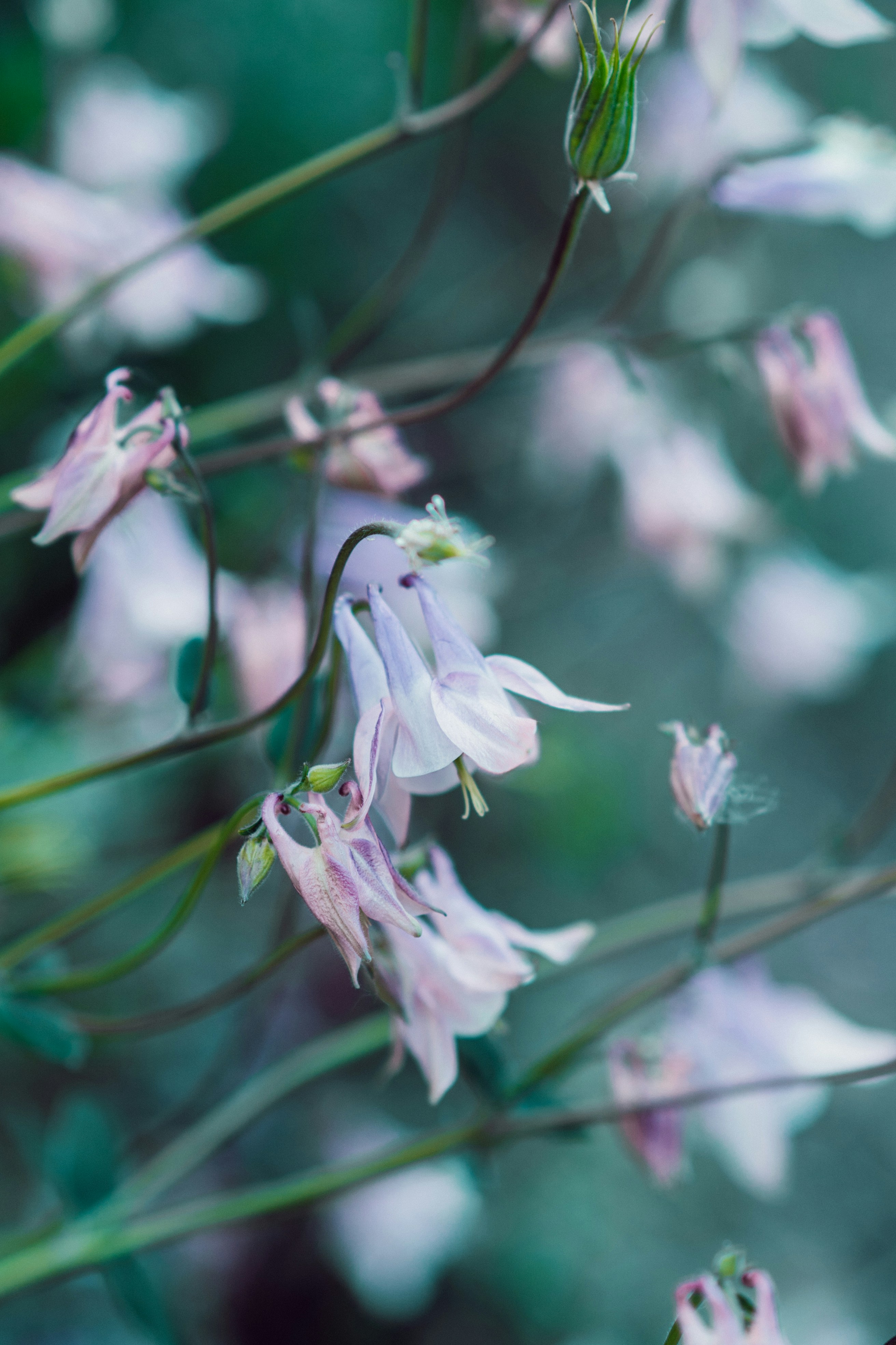 Photo by anamnesis33