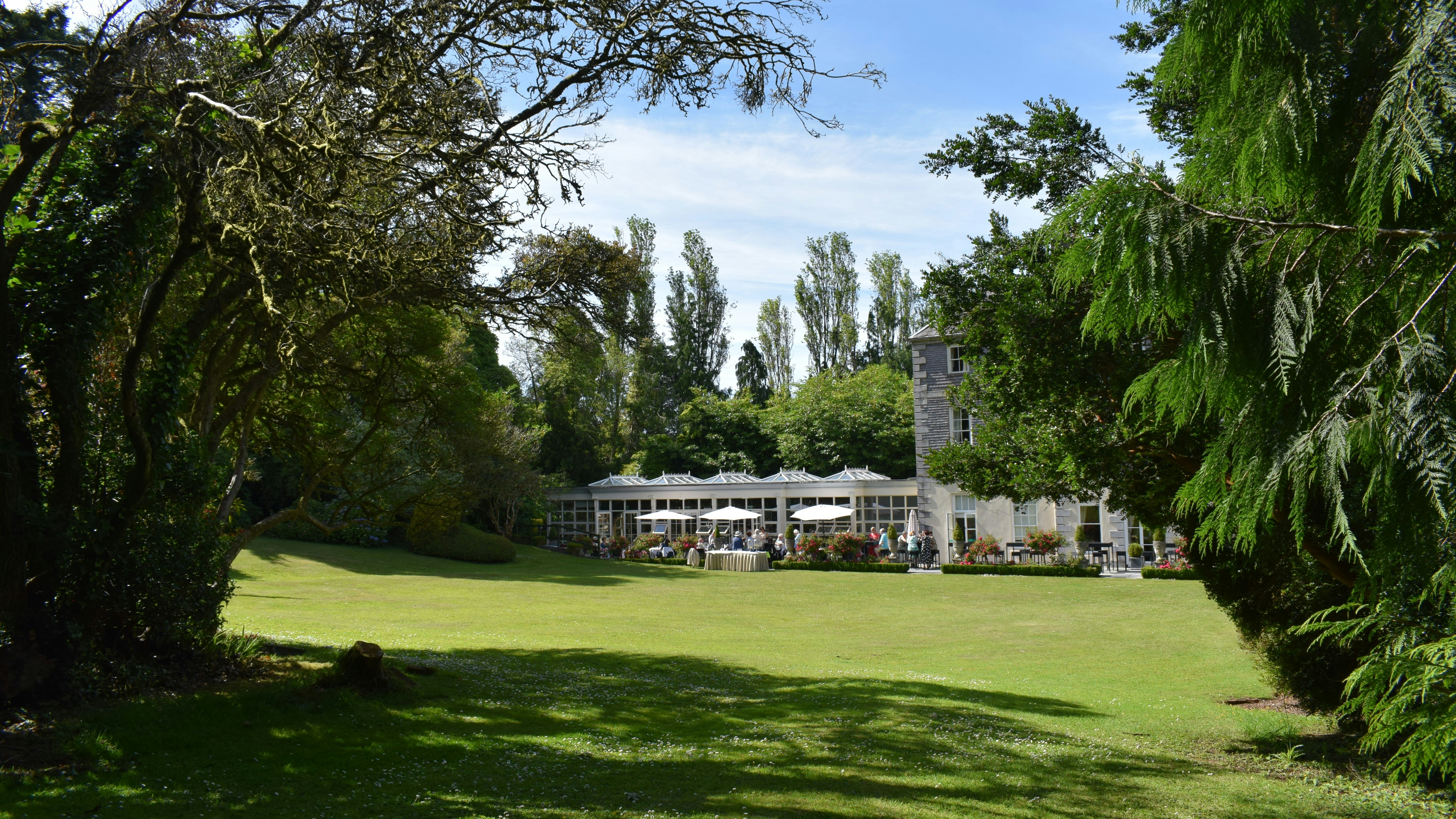 Photo by patrickireland