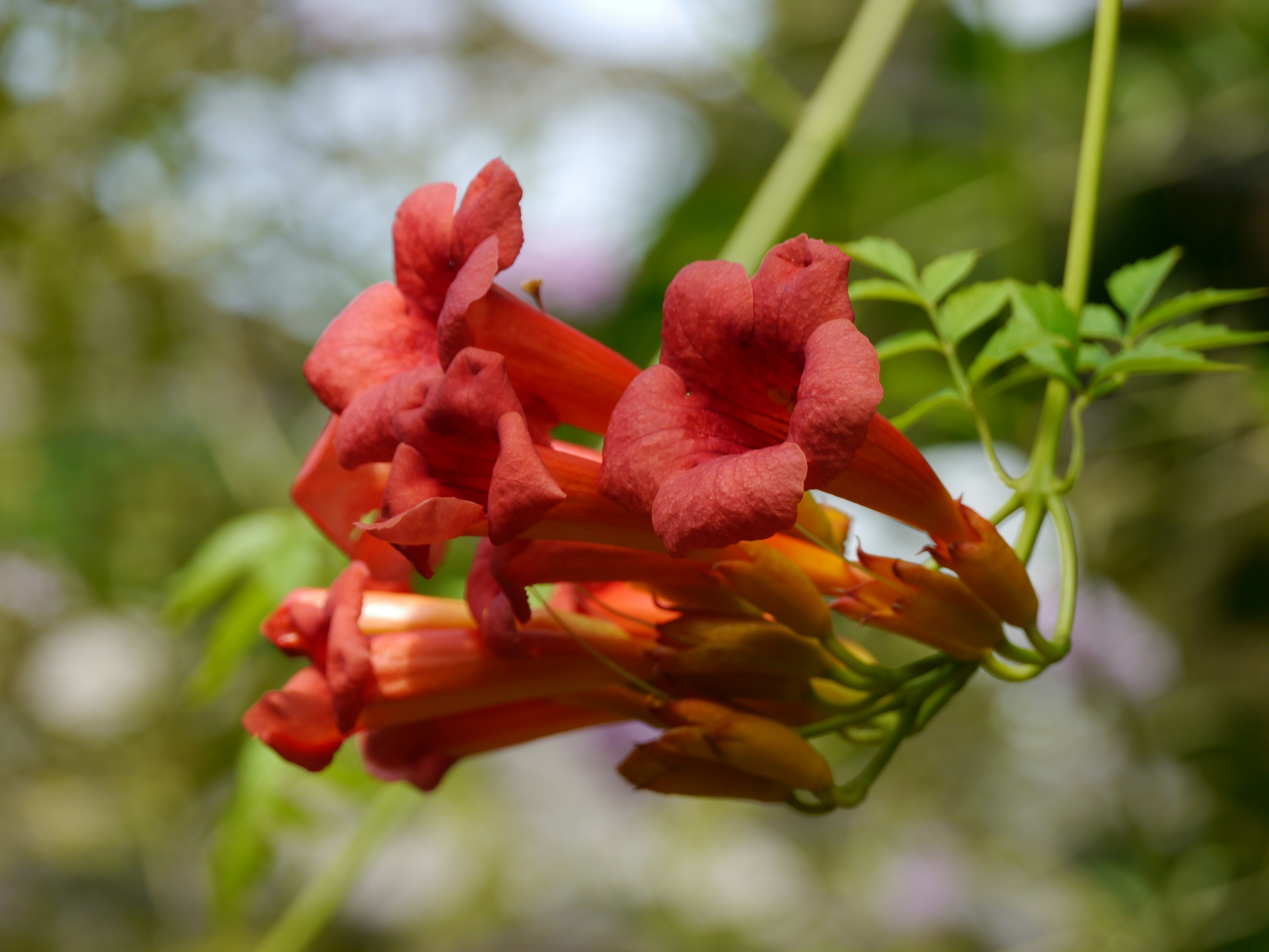 Photo by iqsphotography