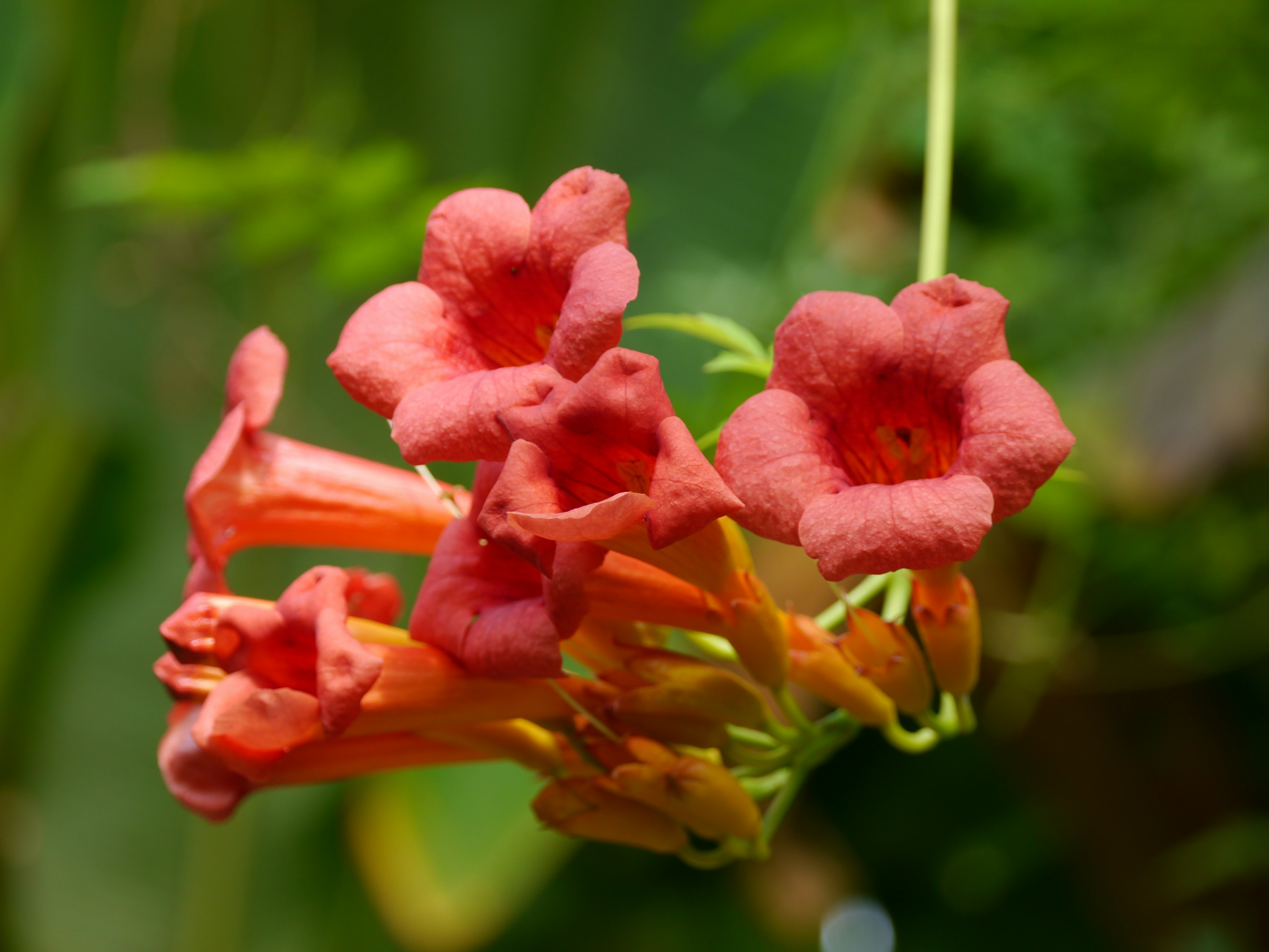 Photo by iqsphotography