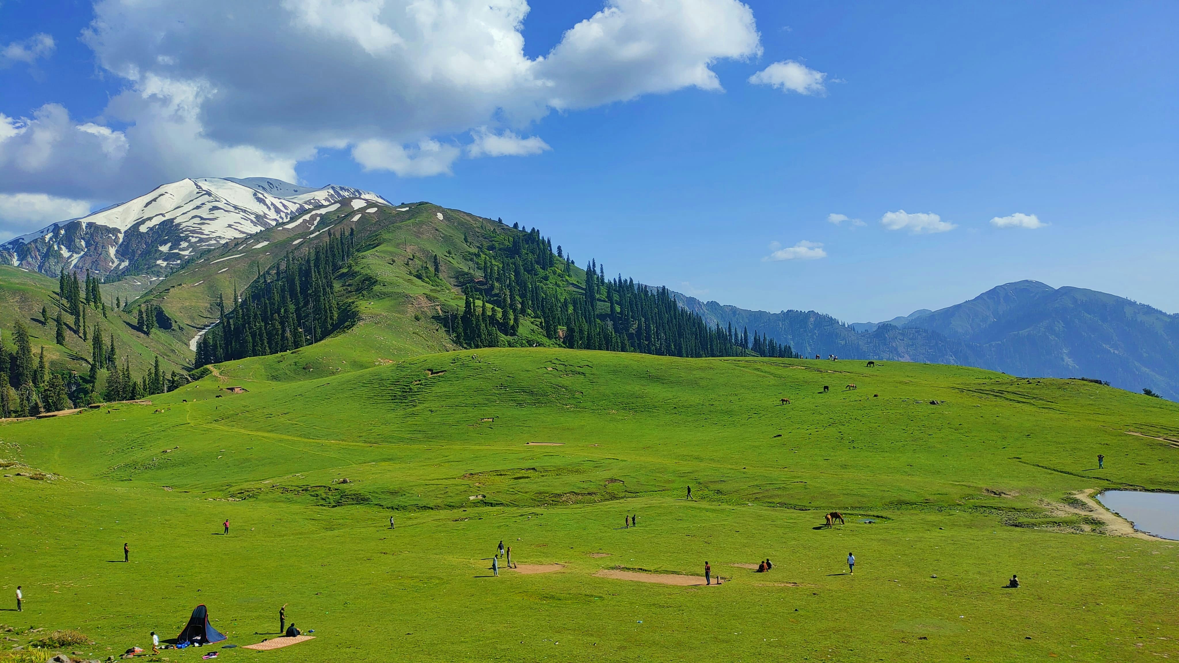 Photo by summerfaraz