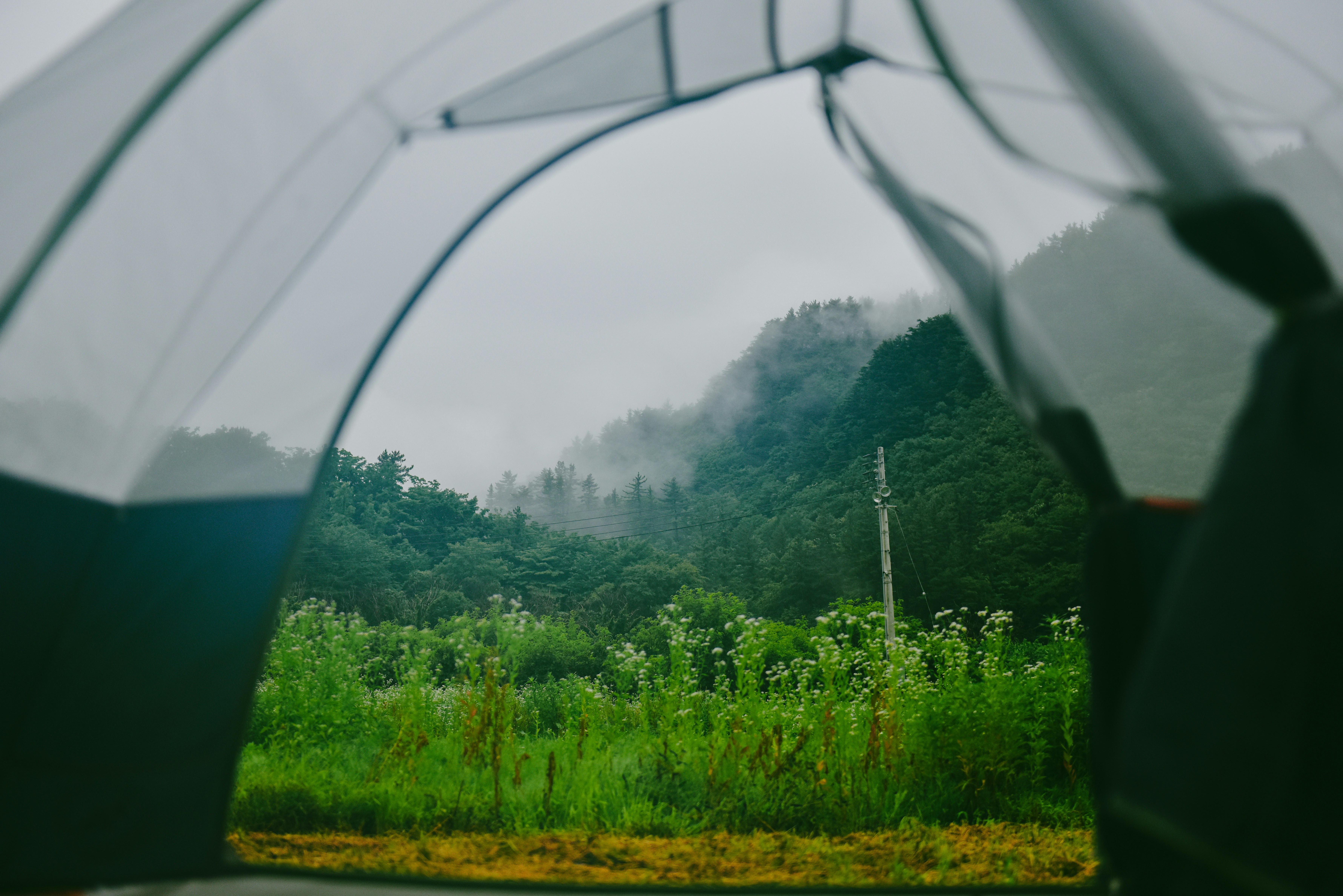 Mastering the Storm: How to Stay Dry While Camping in the Rain