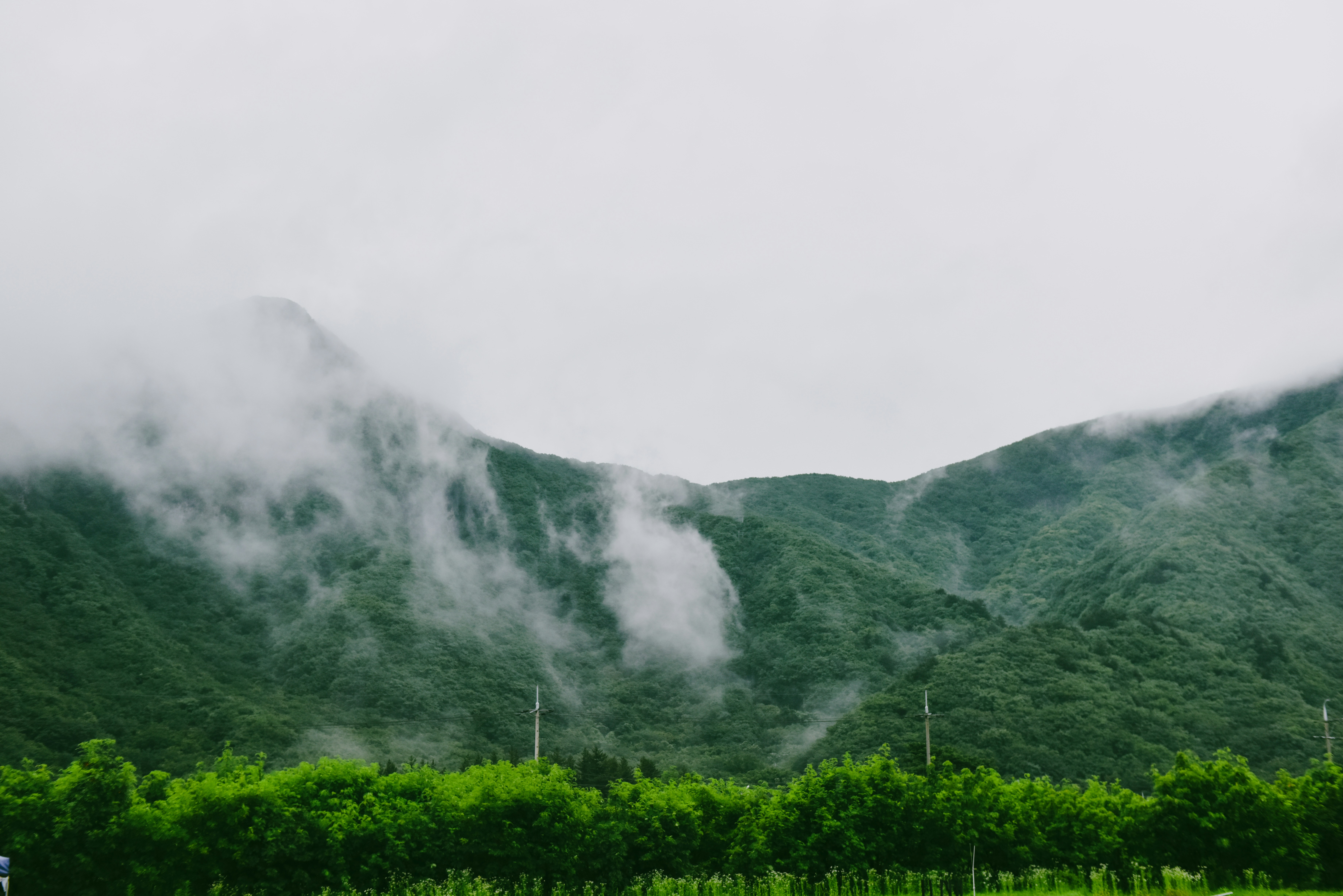 A green field with mountains in the background