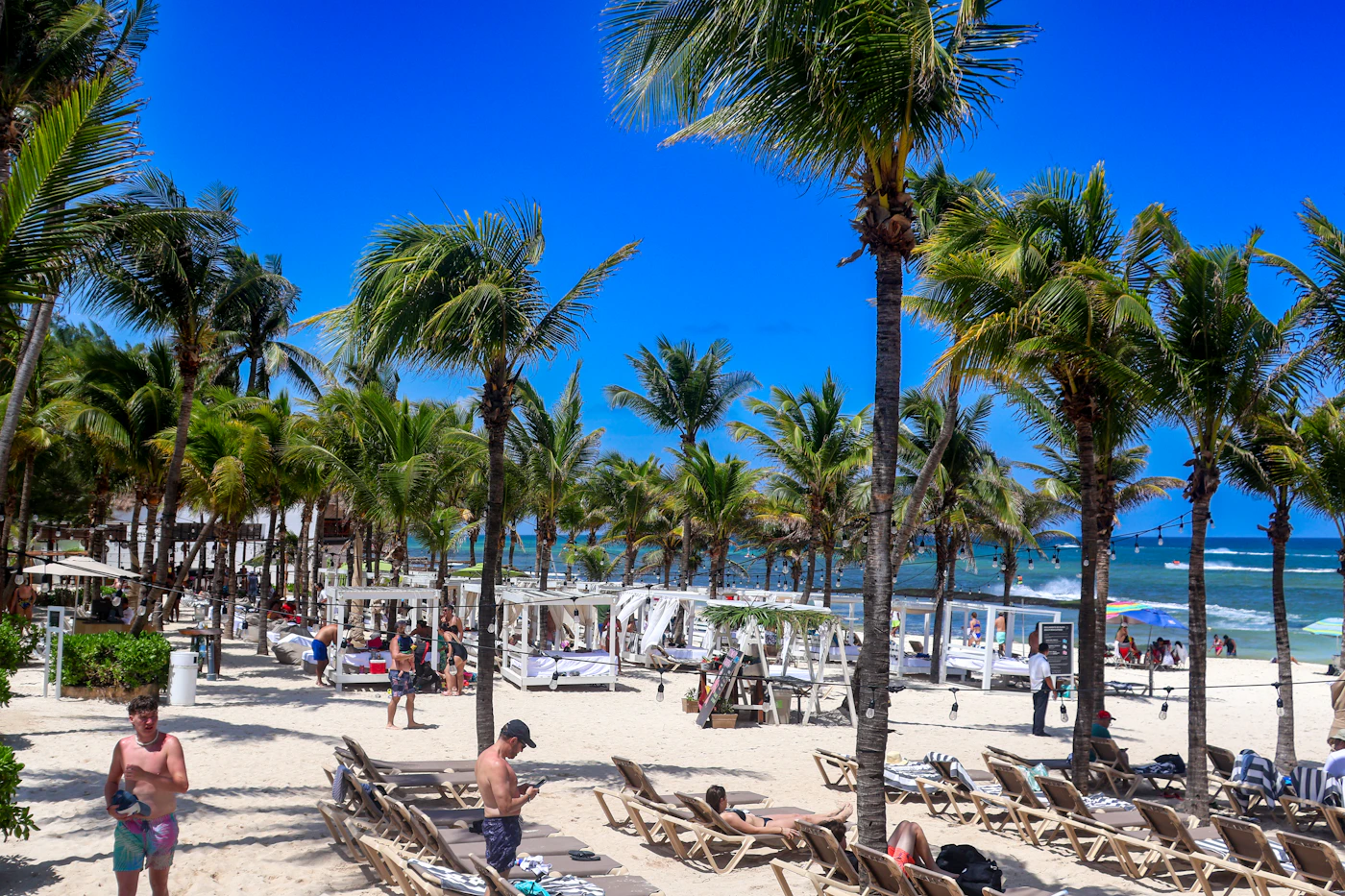 Riviera Maya beach club with rows of lounge chairs under tall coconut palms, the turquoise Caribbean sea and blue sky beyond