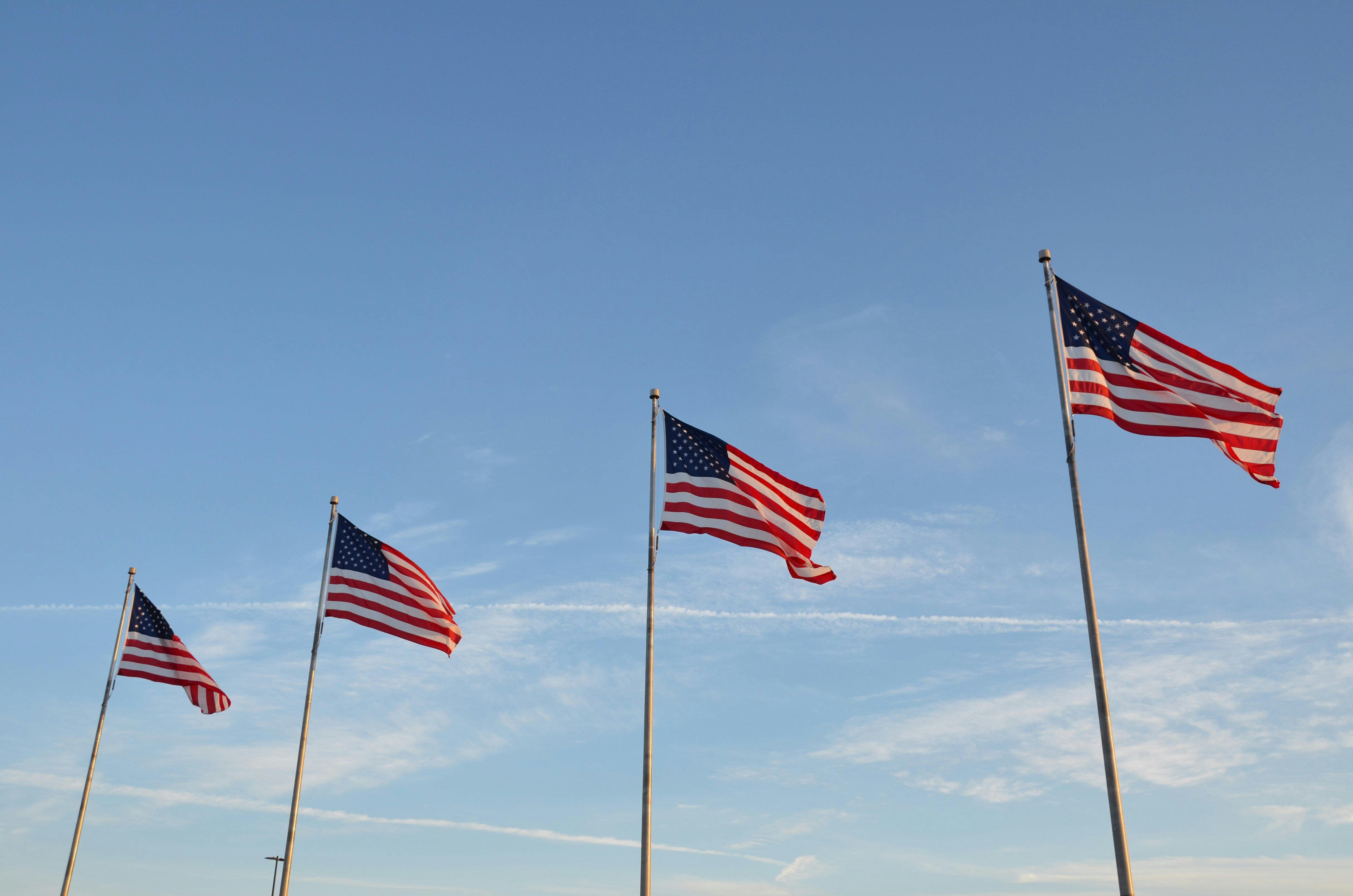 A row of american flags blowing in the wind