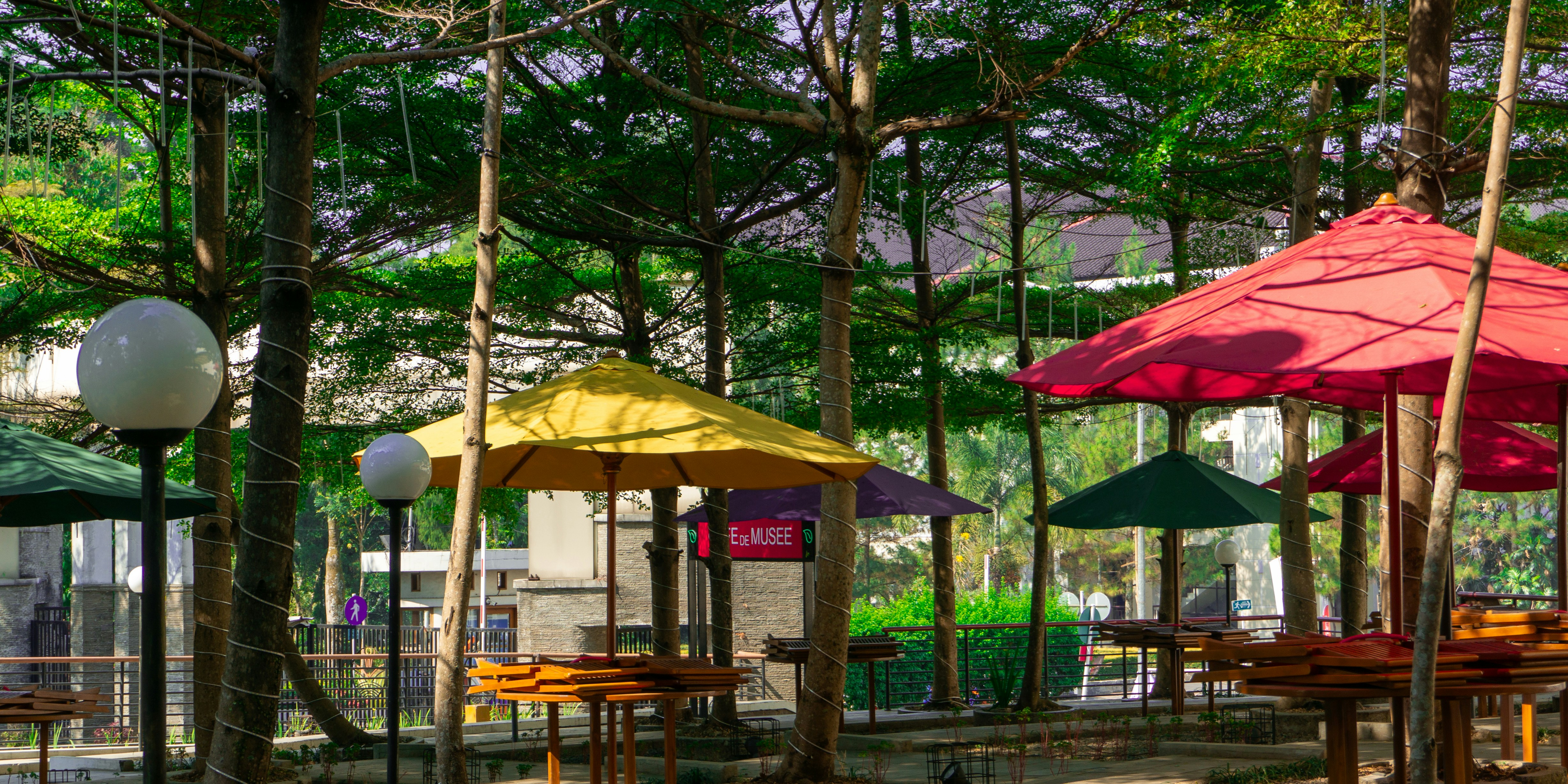 Photo by aletraekaye