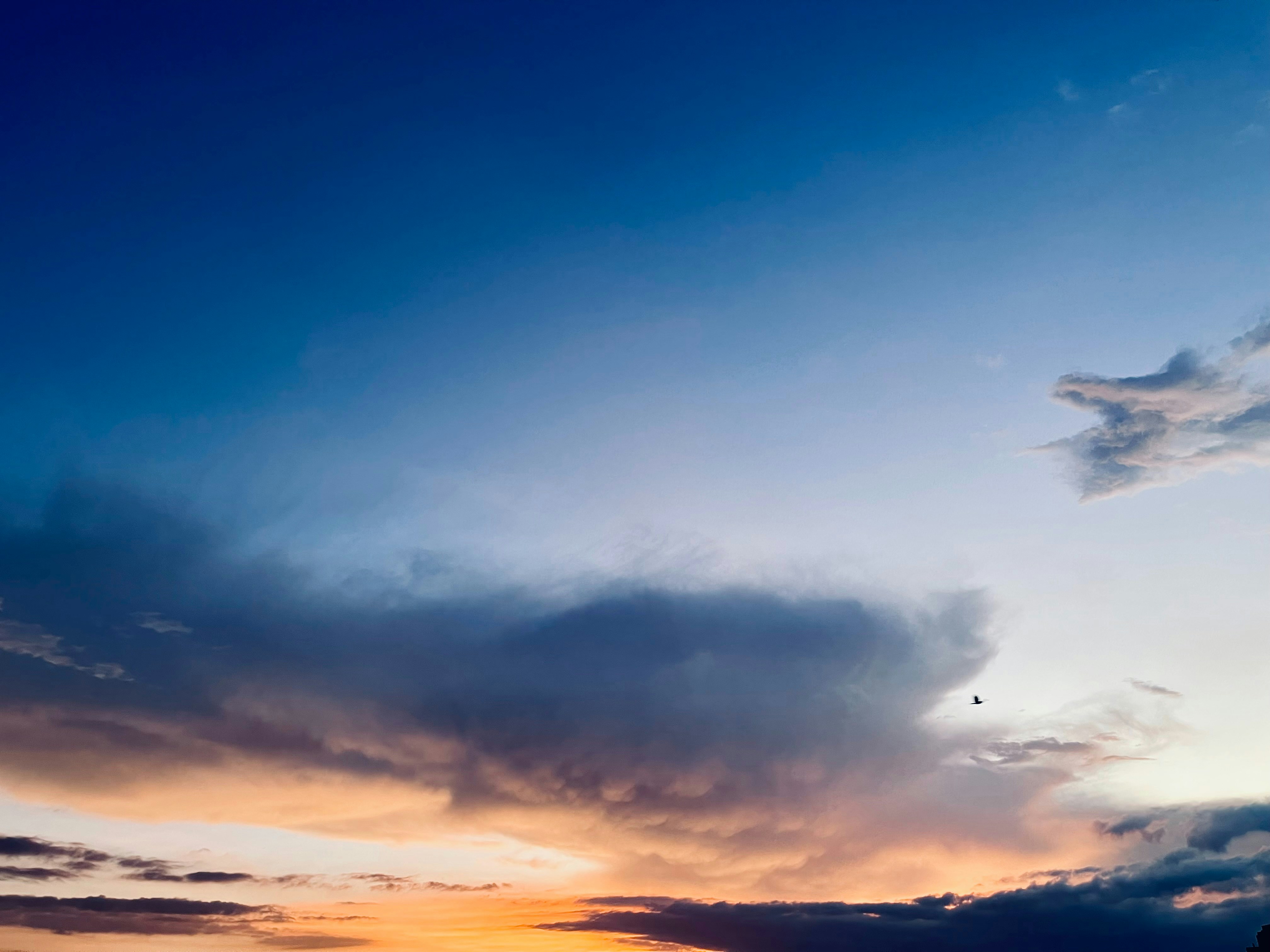 Photo by reximeglvic03