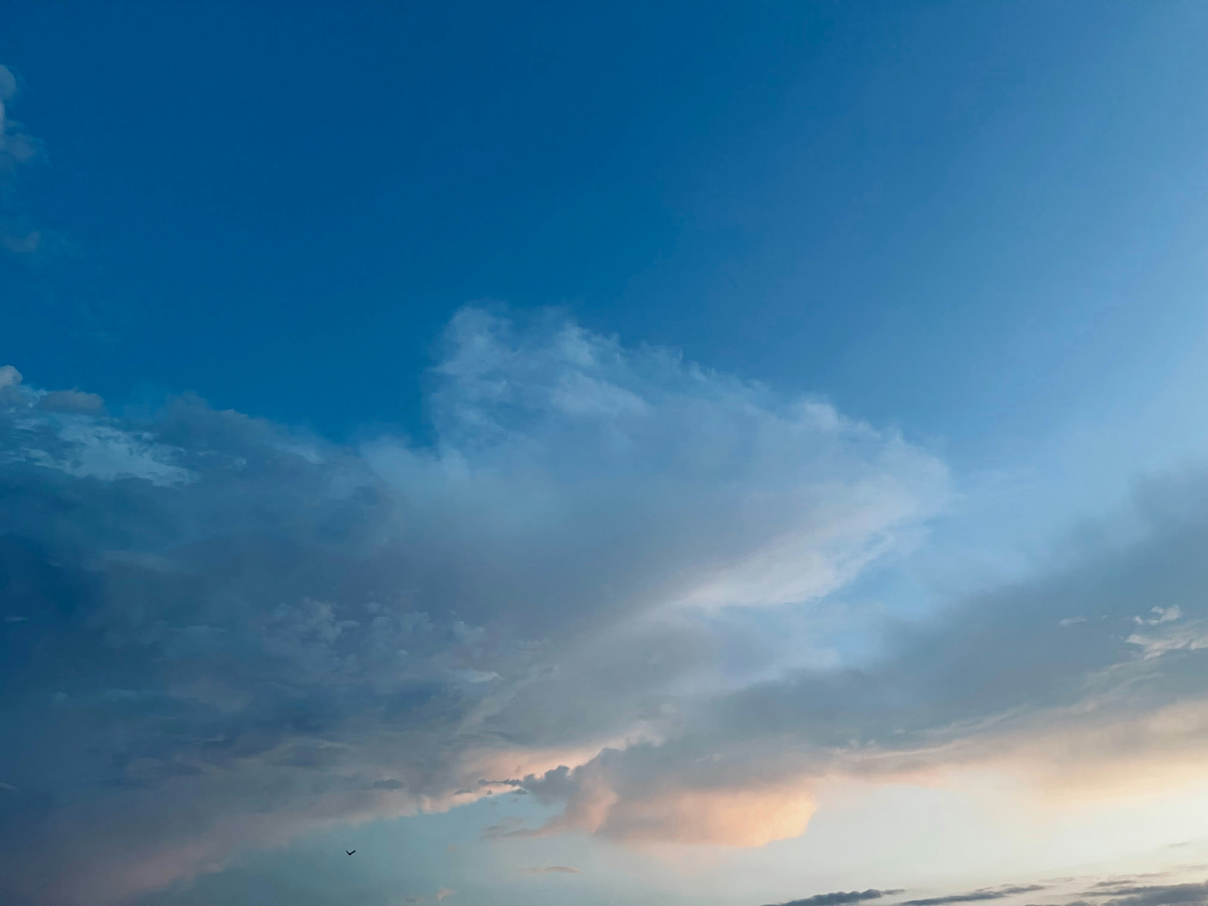 Photo by reximeglvic03