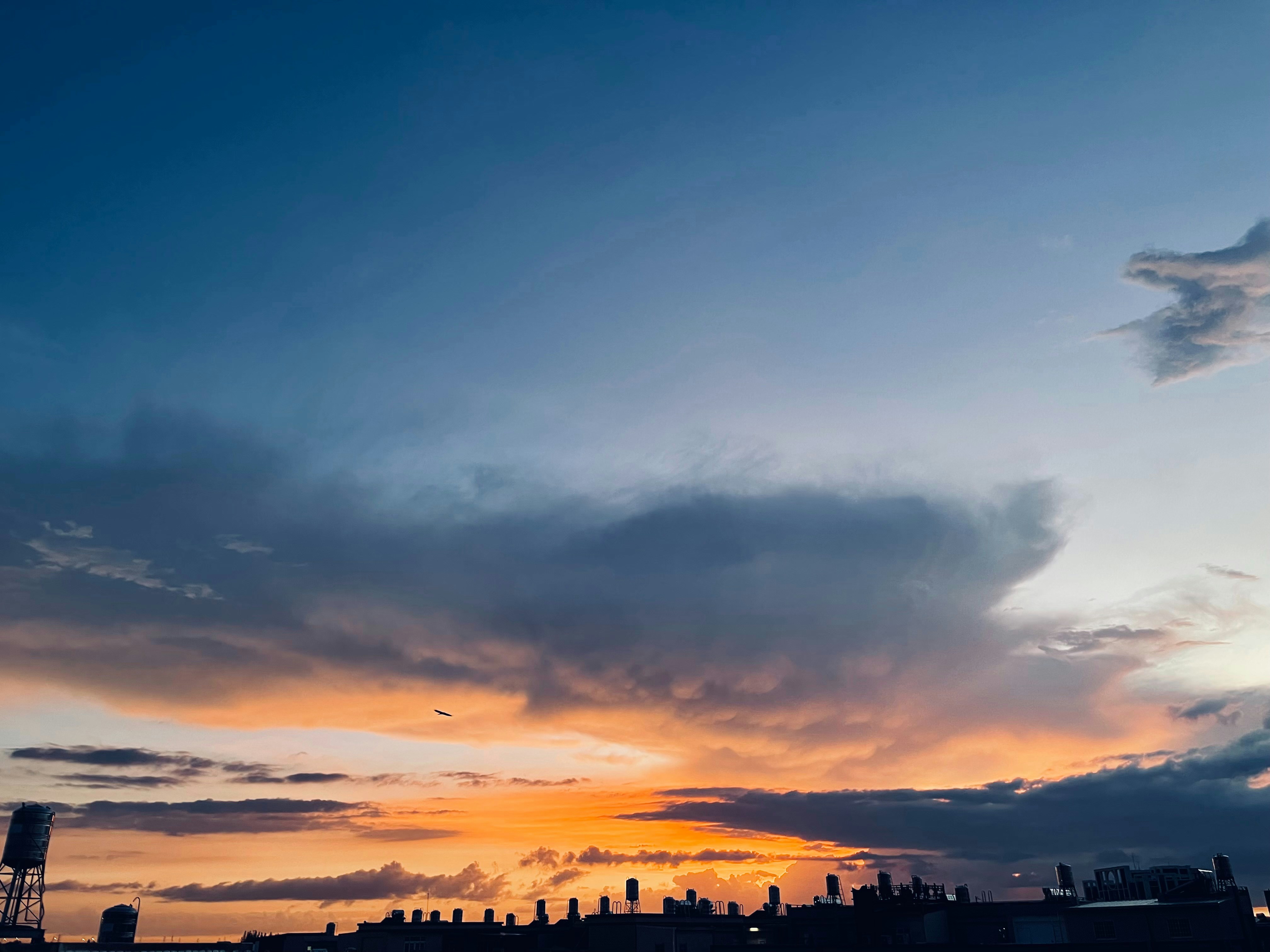 Photo by reximeglvic03