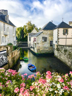 A river running through a small town surrounded by flowers