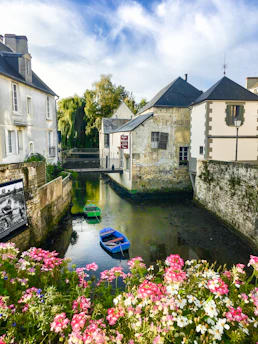 A river running through a small town surrounded by flowers