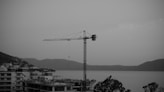 A crane is standing in front of a large body of water