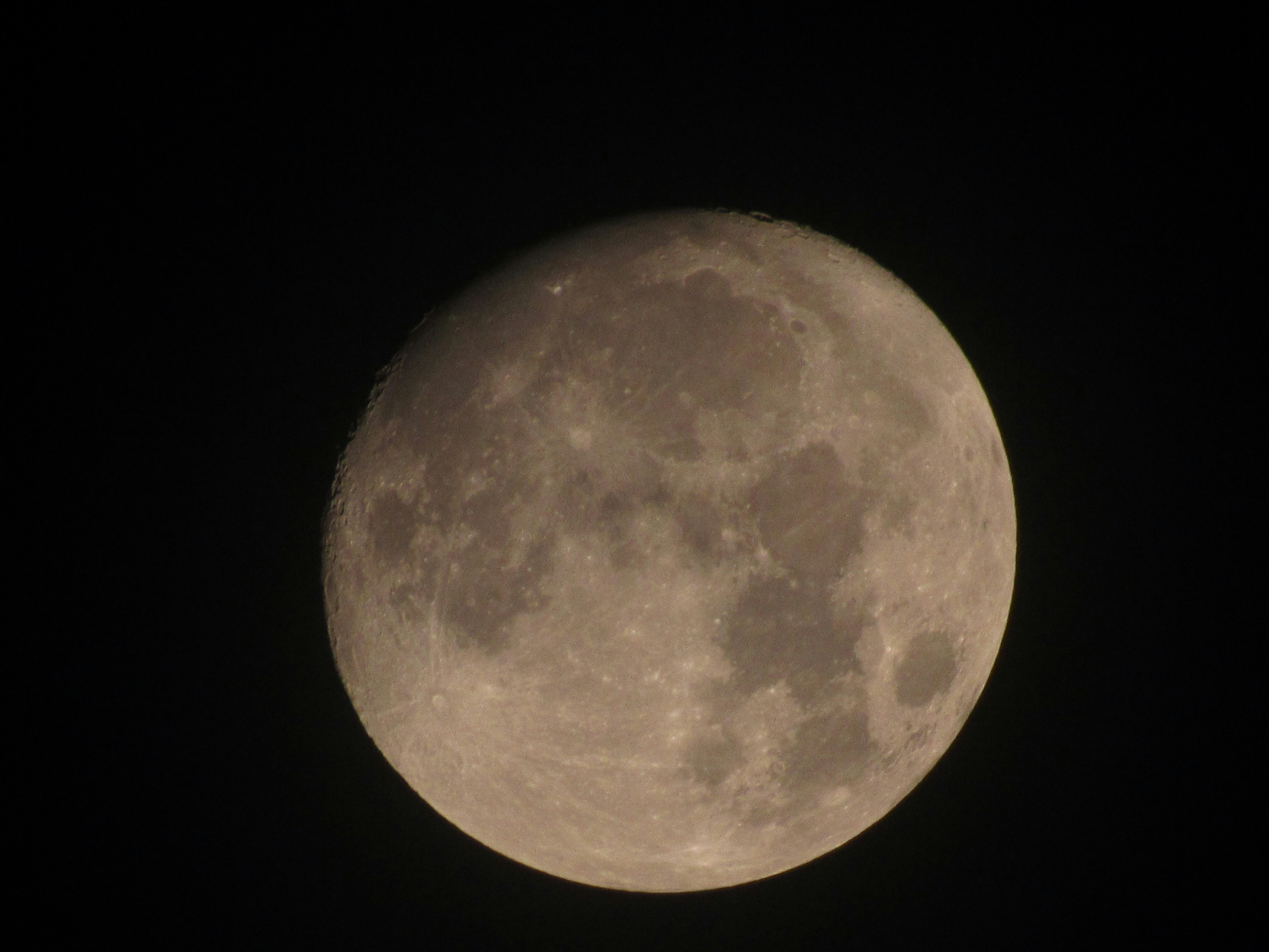 Photo by almahmudurrahmanfahim