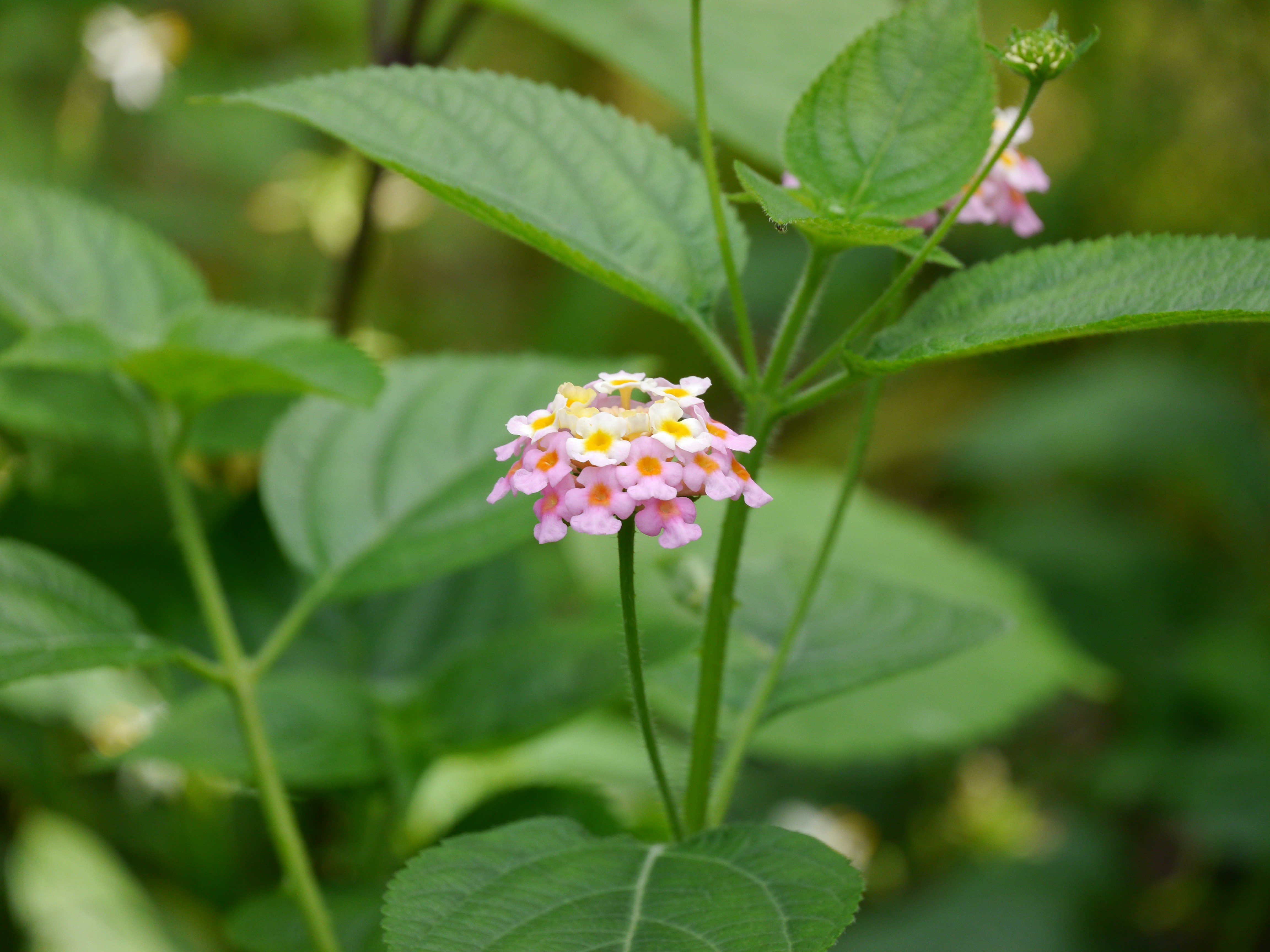 Photo by iqsphotography