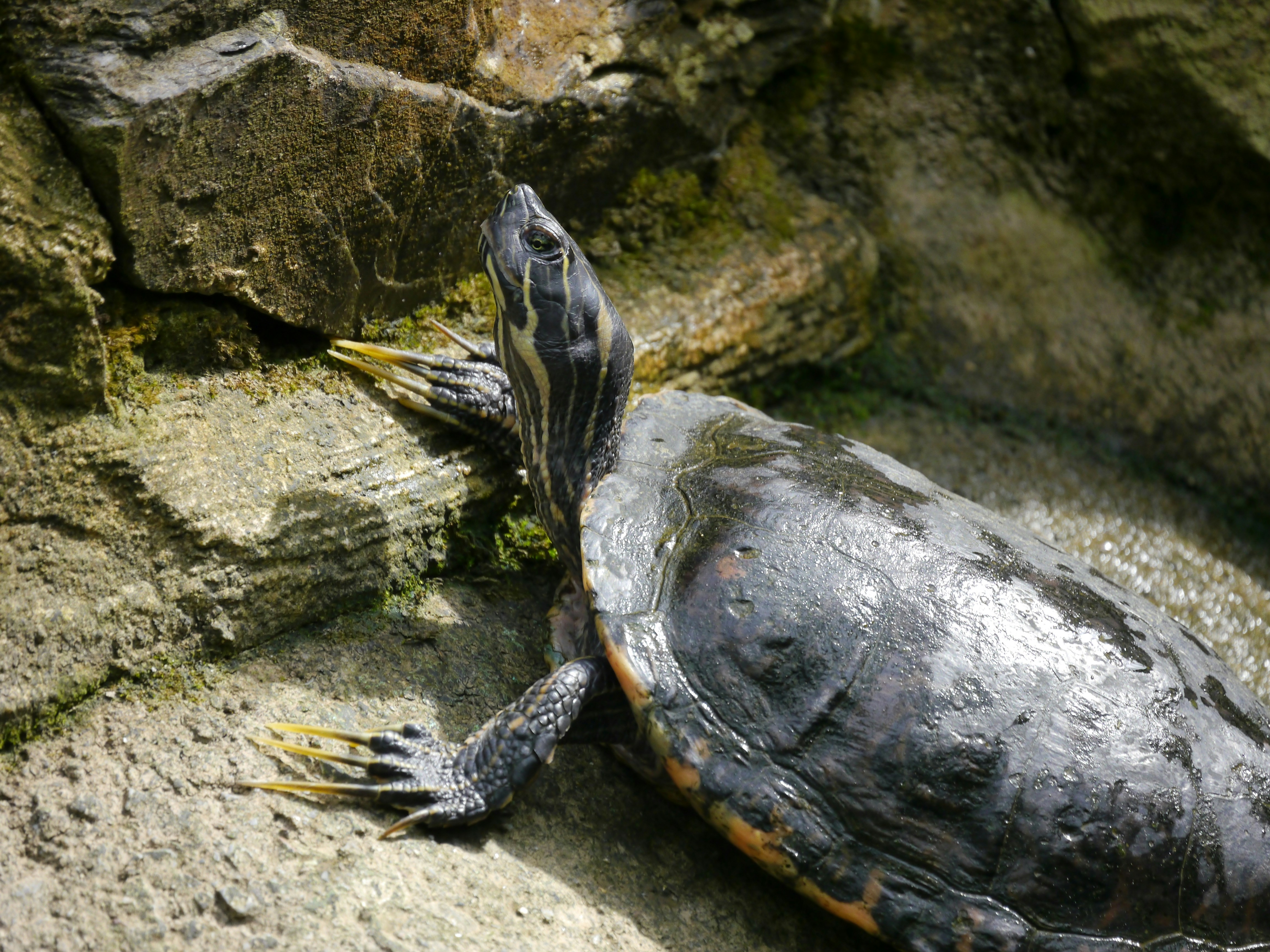 Photo by iqsphotography