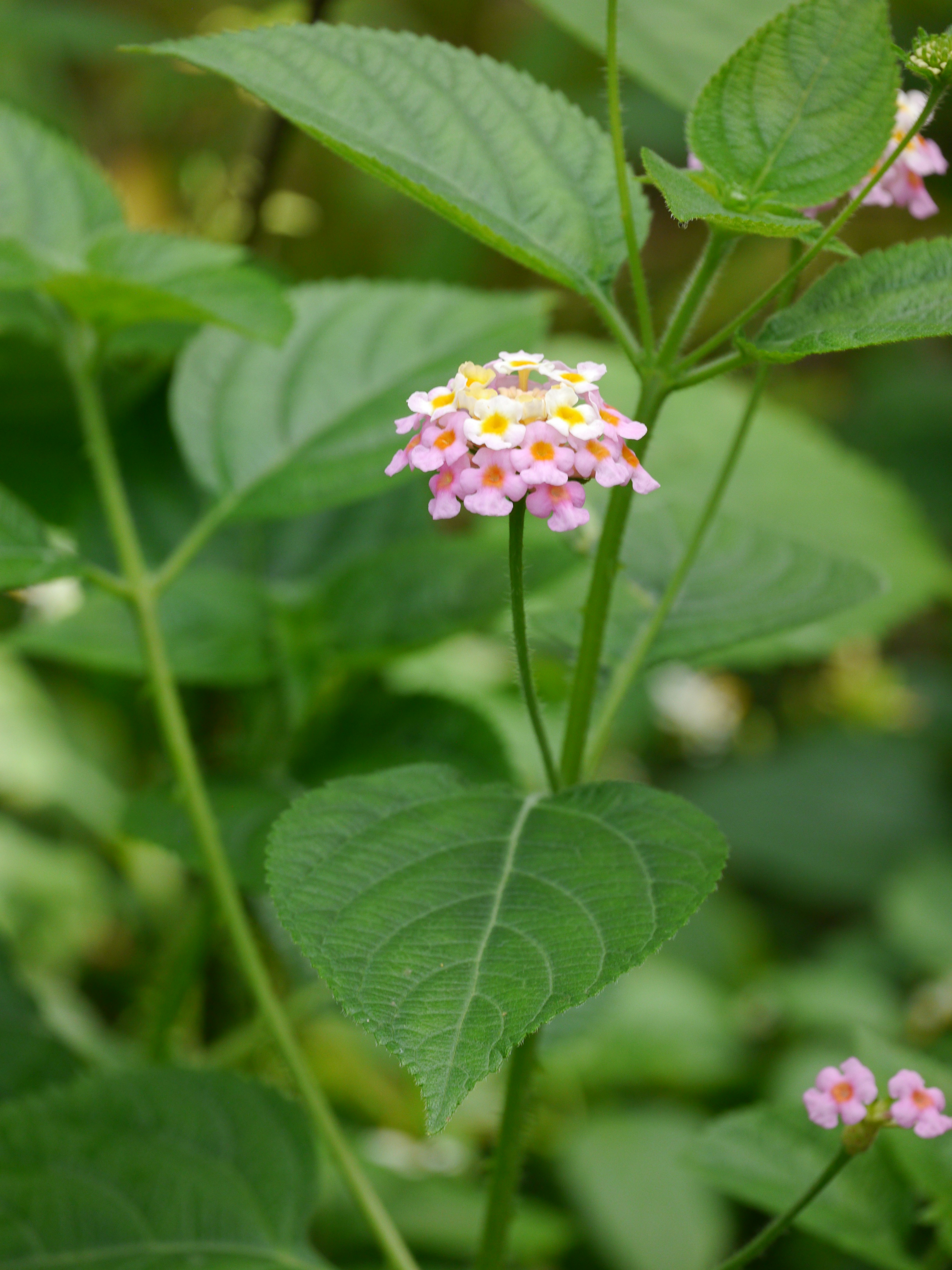 Photo by iqsphotography