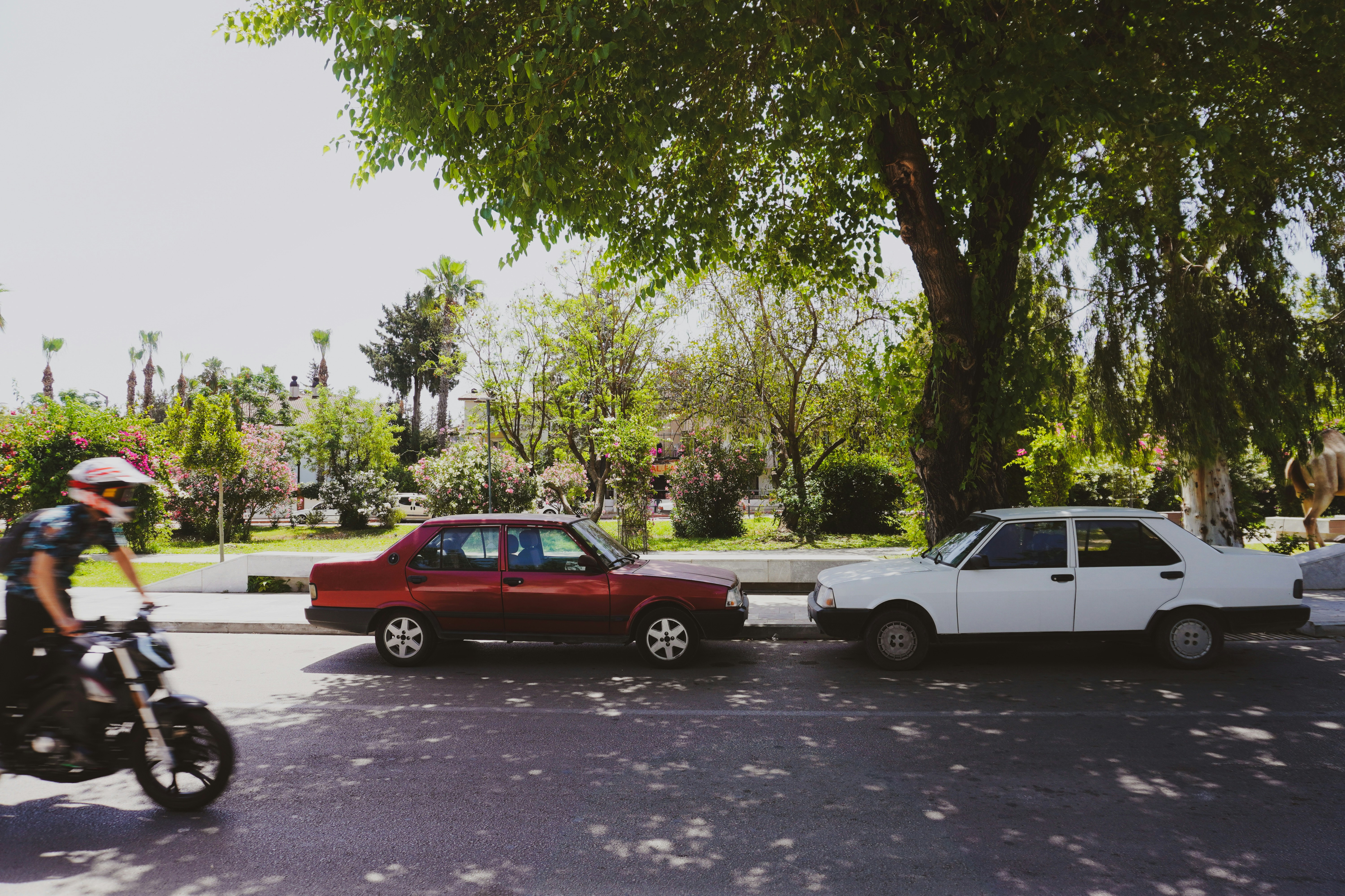 Photo by orangelatte