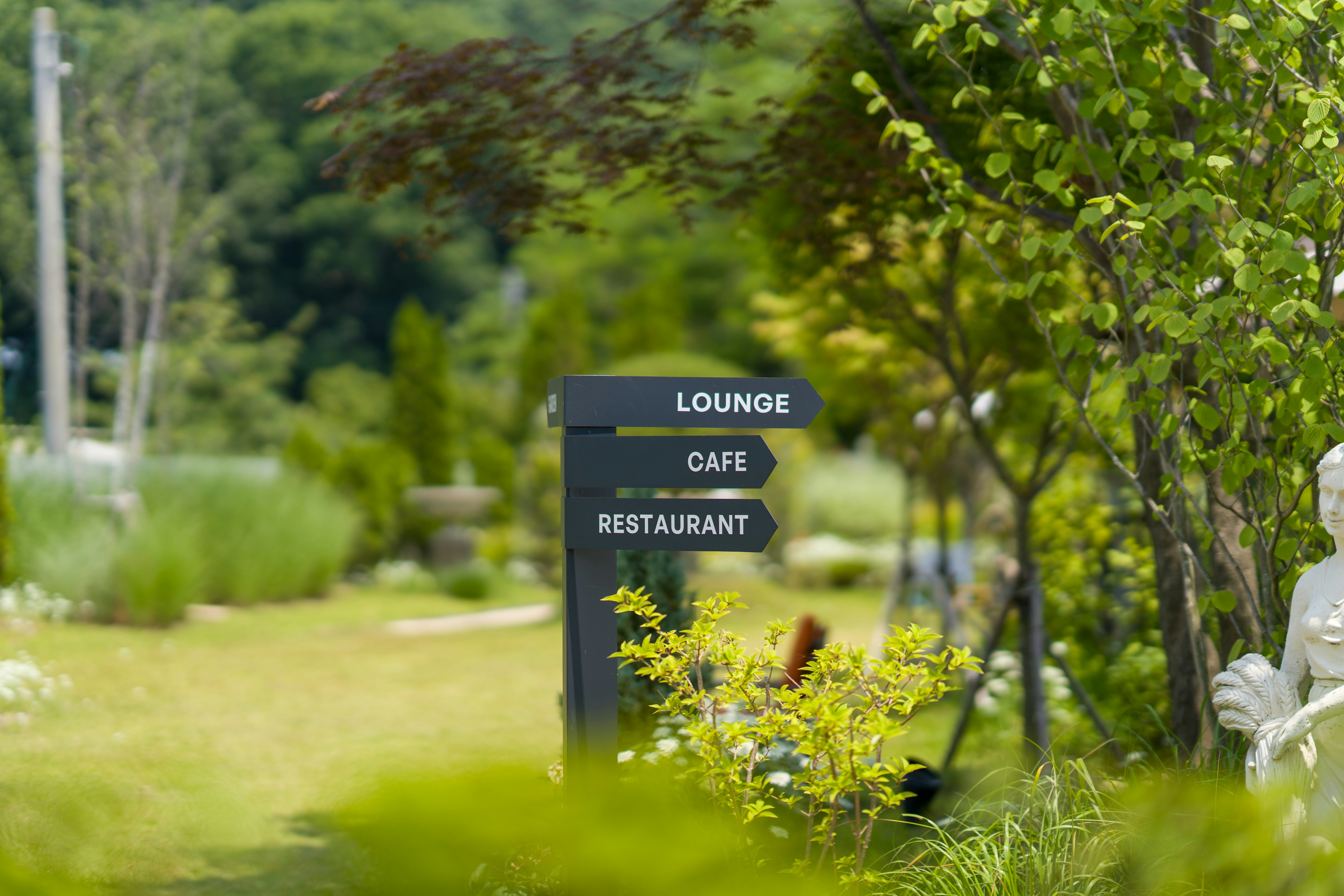 Lawn Cutting and Maintenance