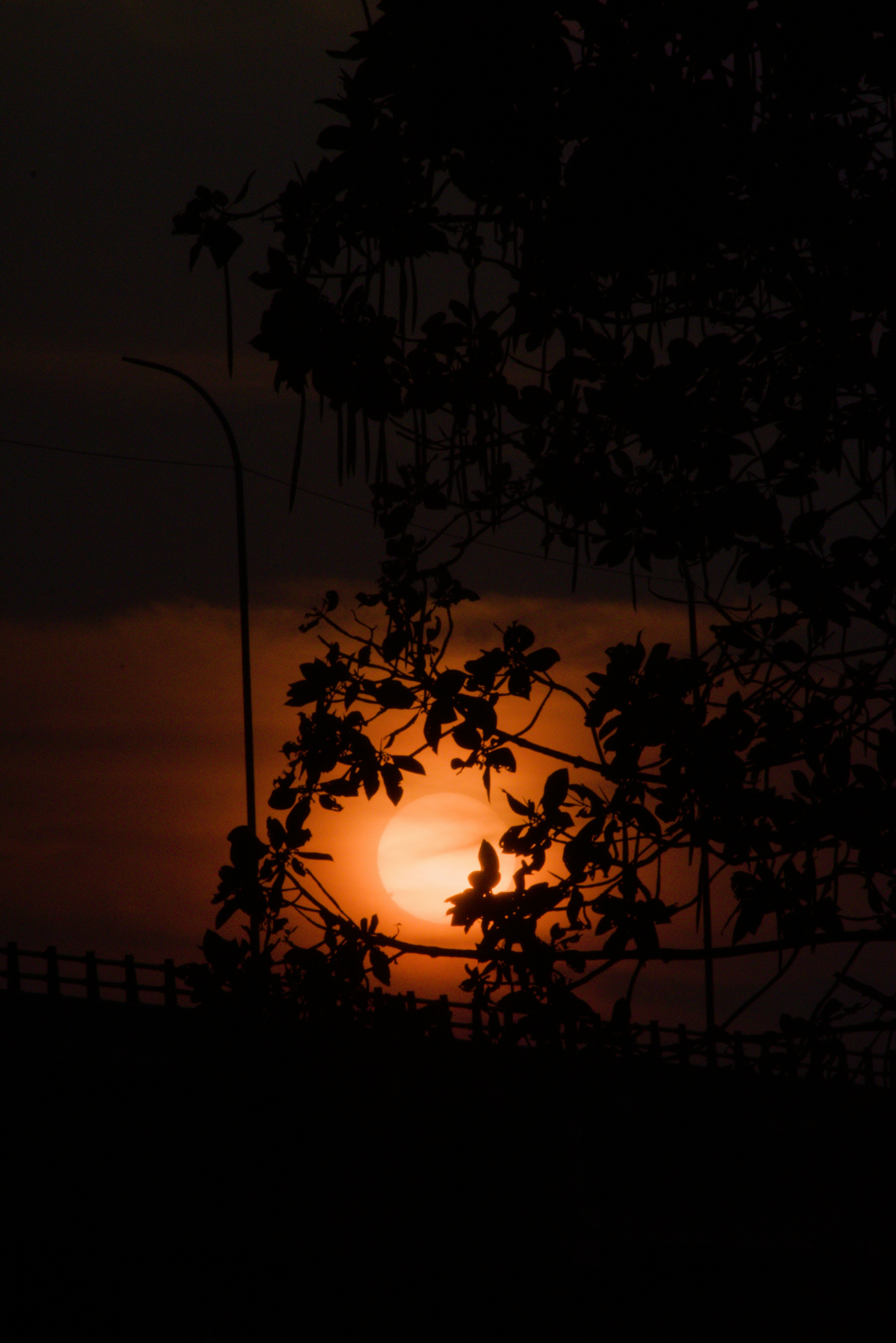 Photo by abrahamnoah
