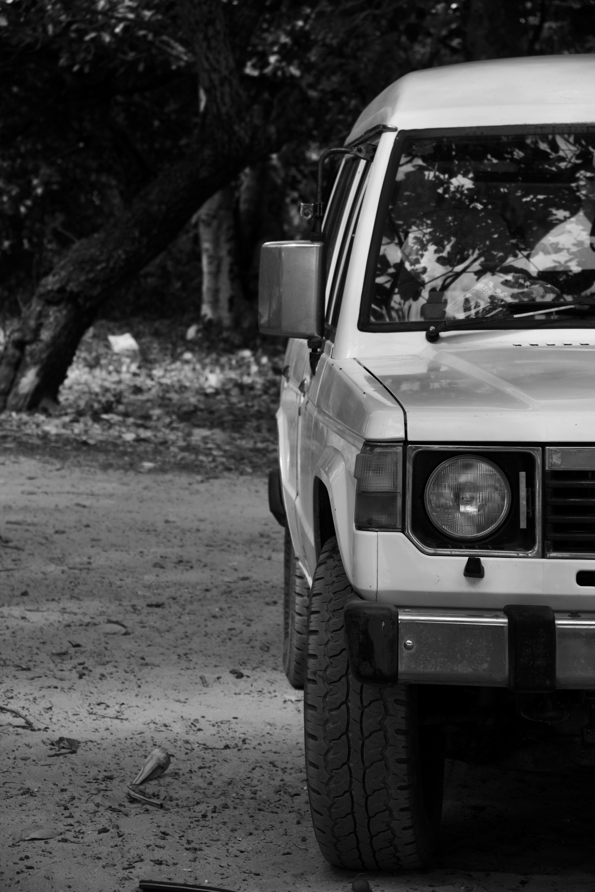A white truck parked in front of a tree