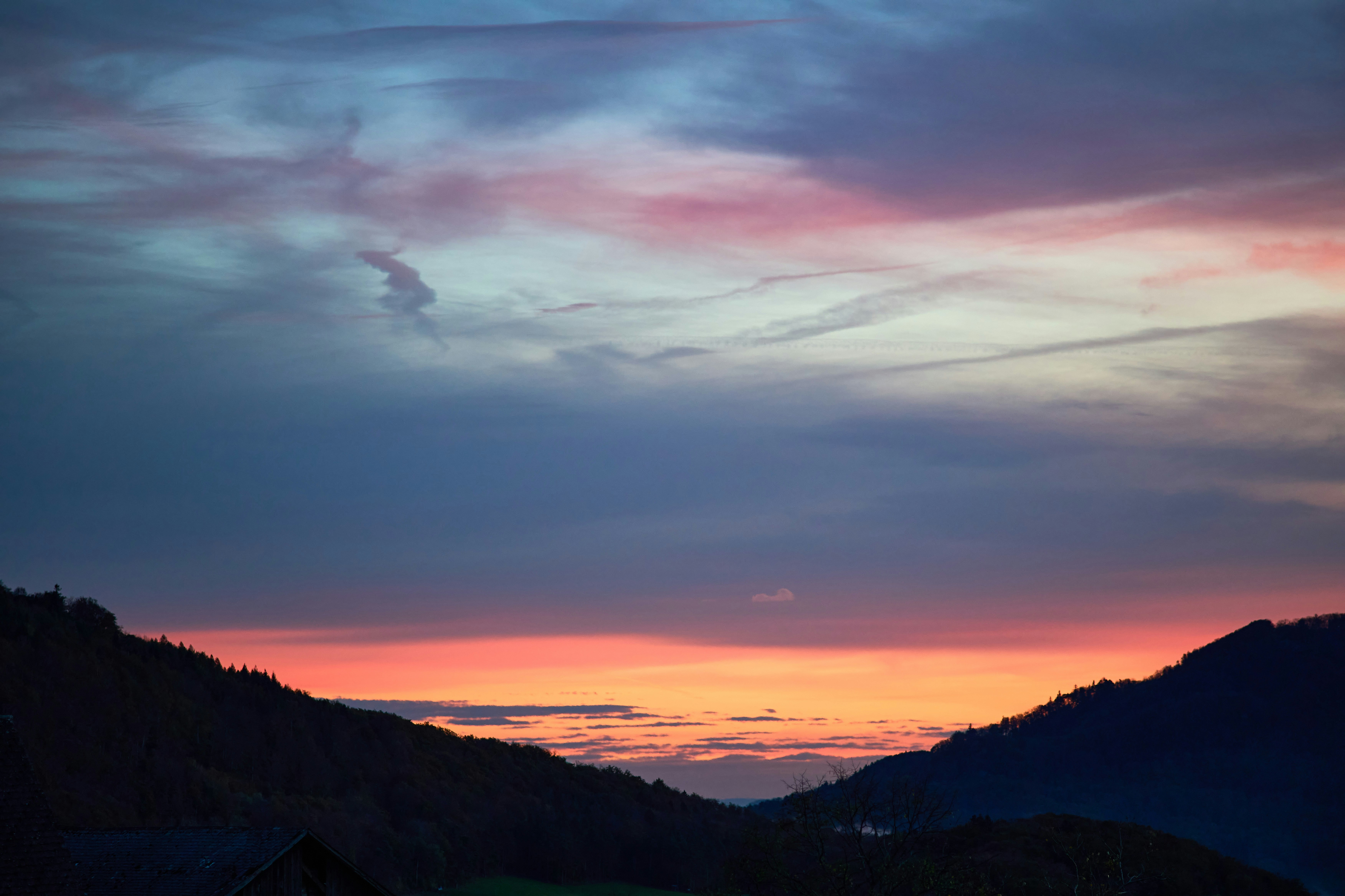 Photo by wolfgang_hasselmann