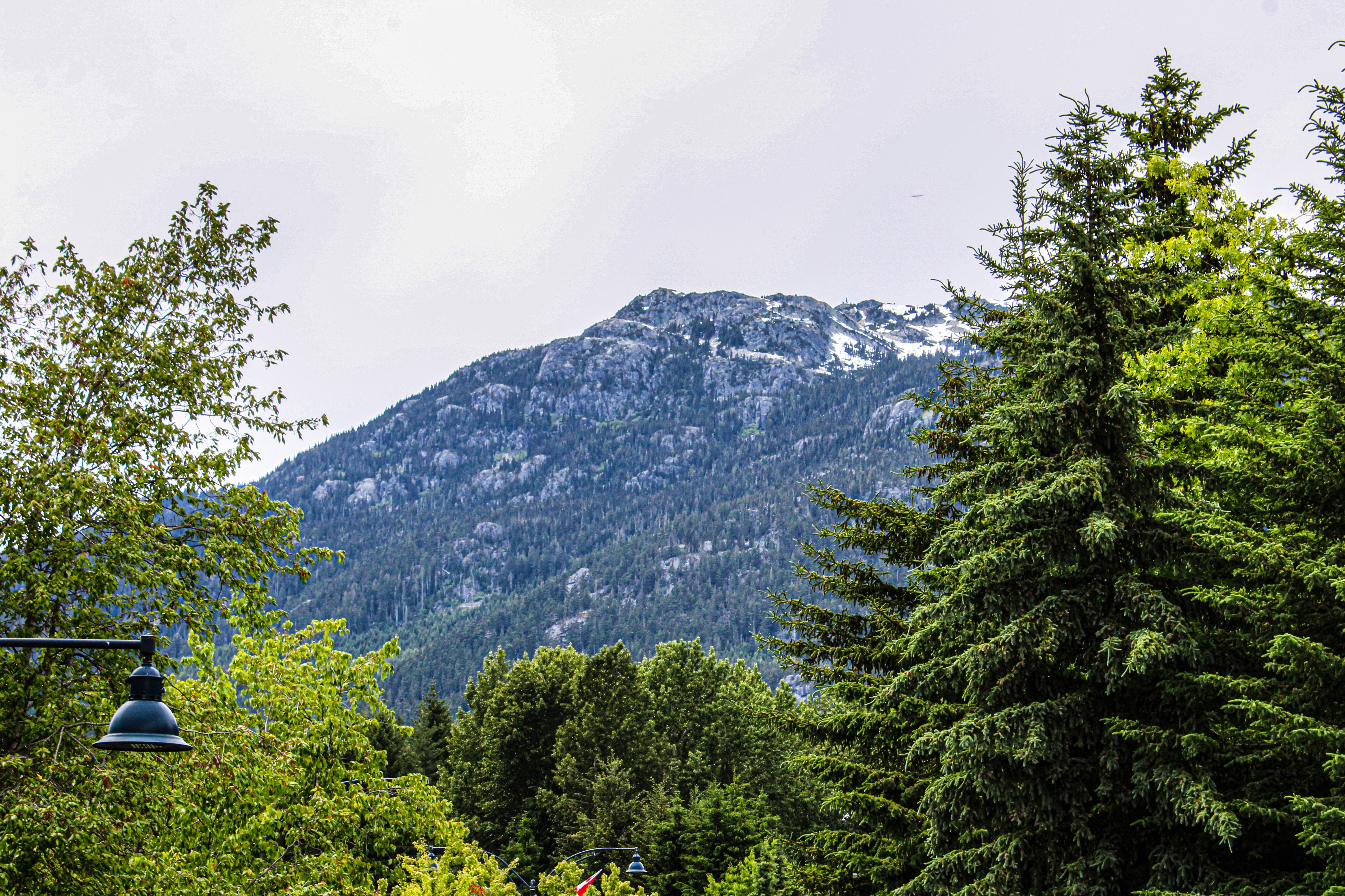 Photo by prphotography262