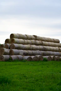 A pile of hay sitting on top of a lush green field