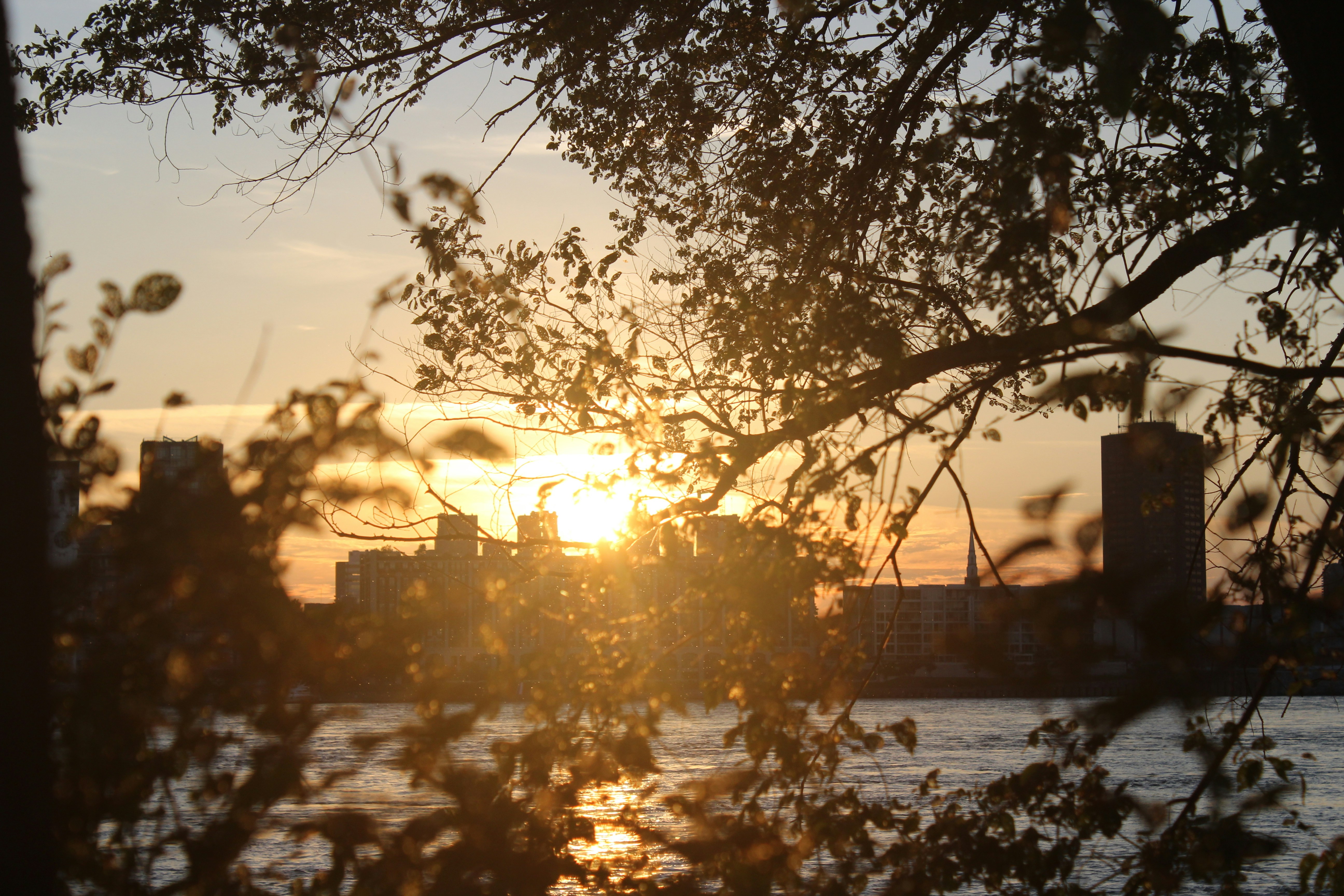 Photo by niloofar_b1991