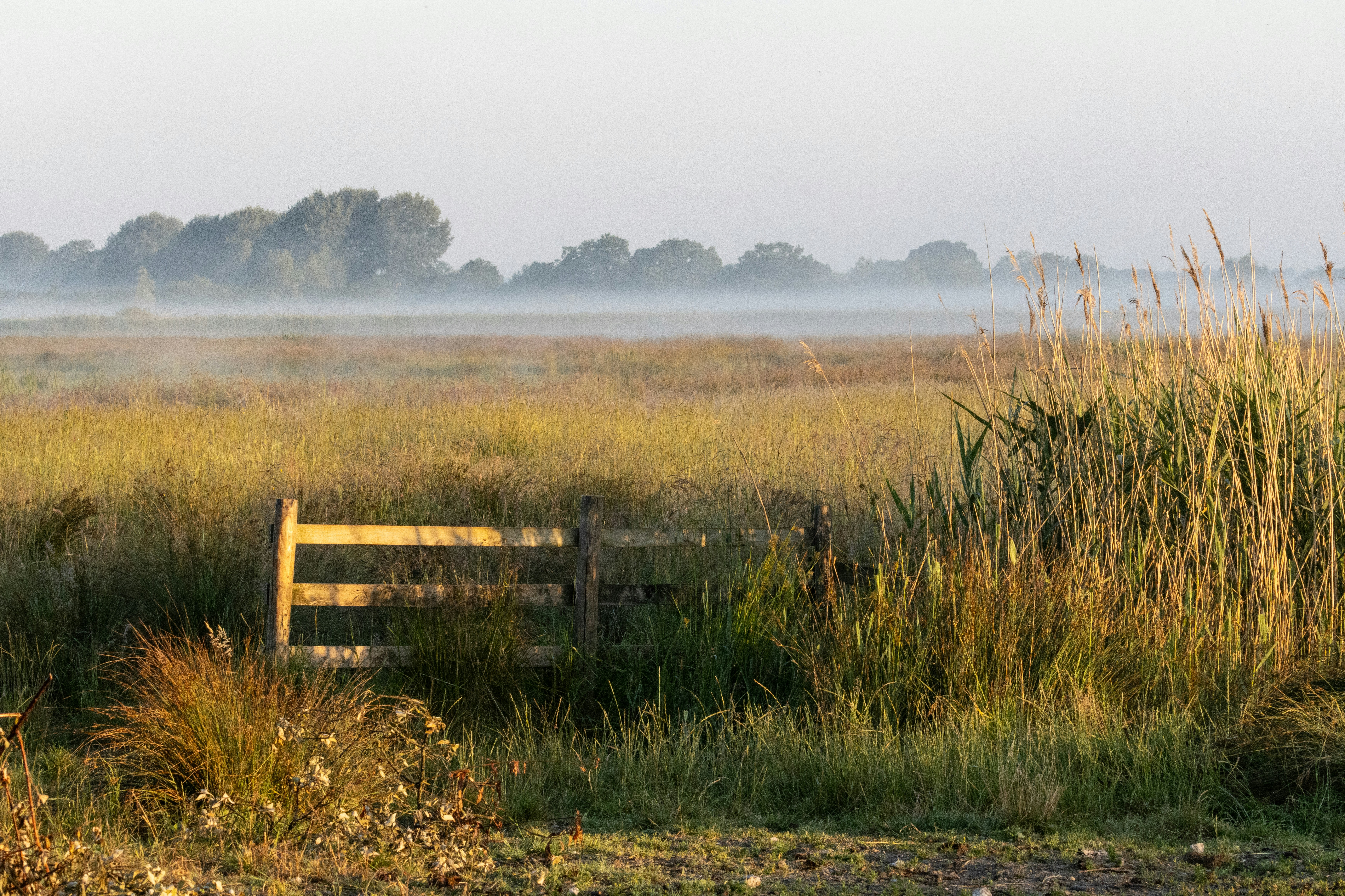 Gate of Dawn photo 2