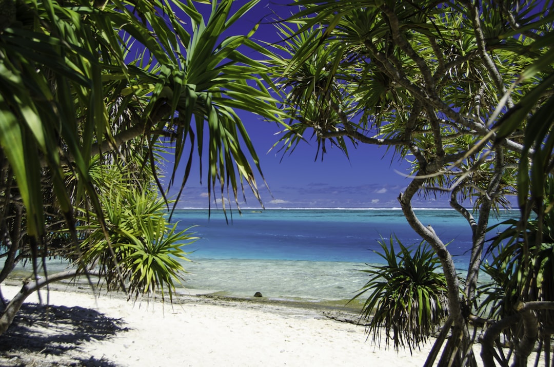 Air Vanuatu's Comeback Domestic Operations Resume