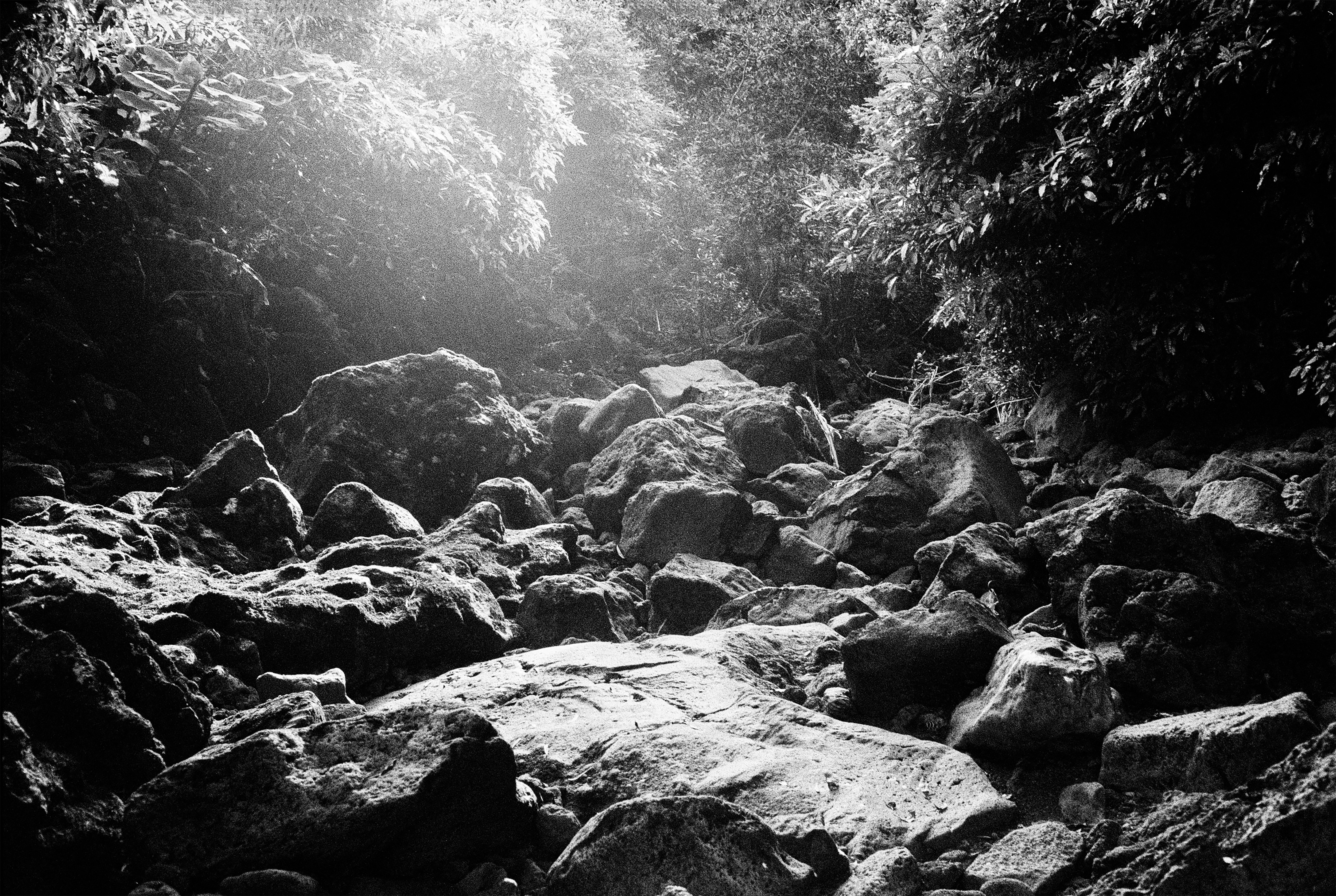 gray computer monitor