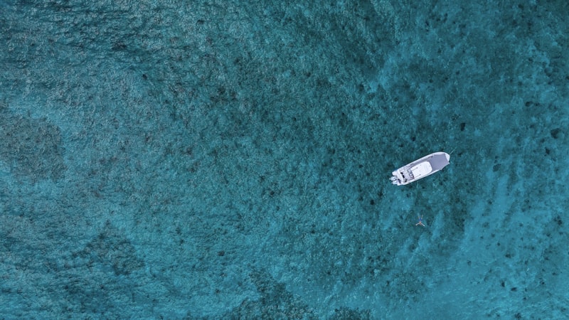 Sand Dollar Condominium Resort resort