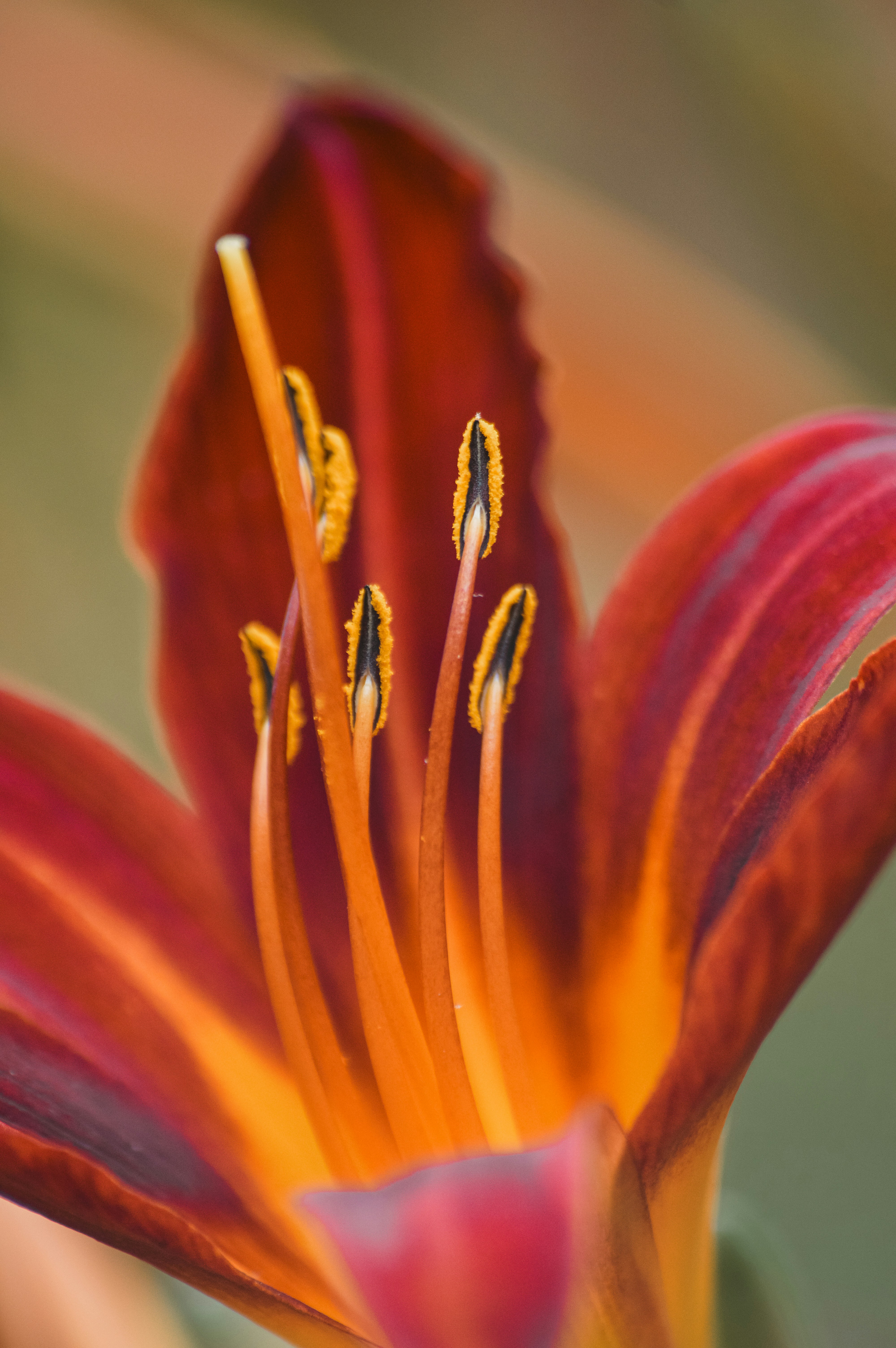 Photo by saidyigitcamlica