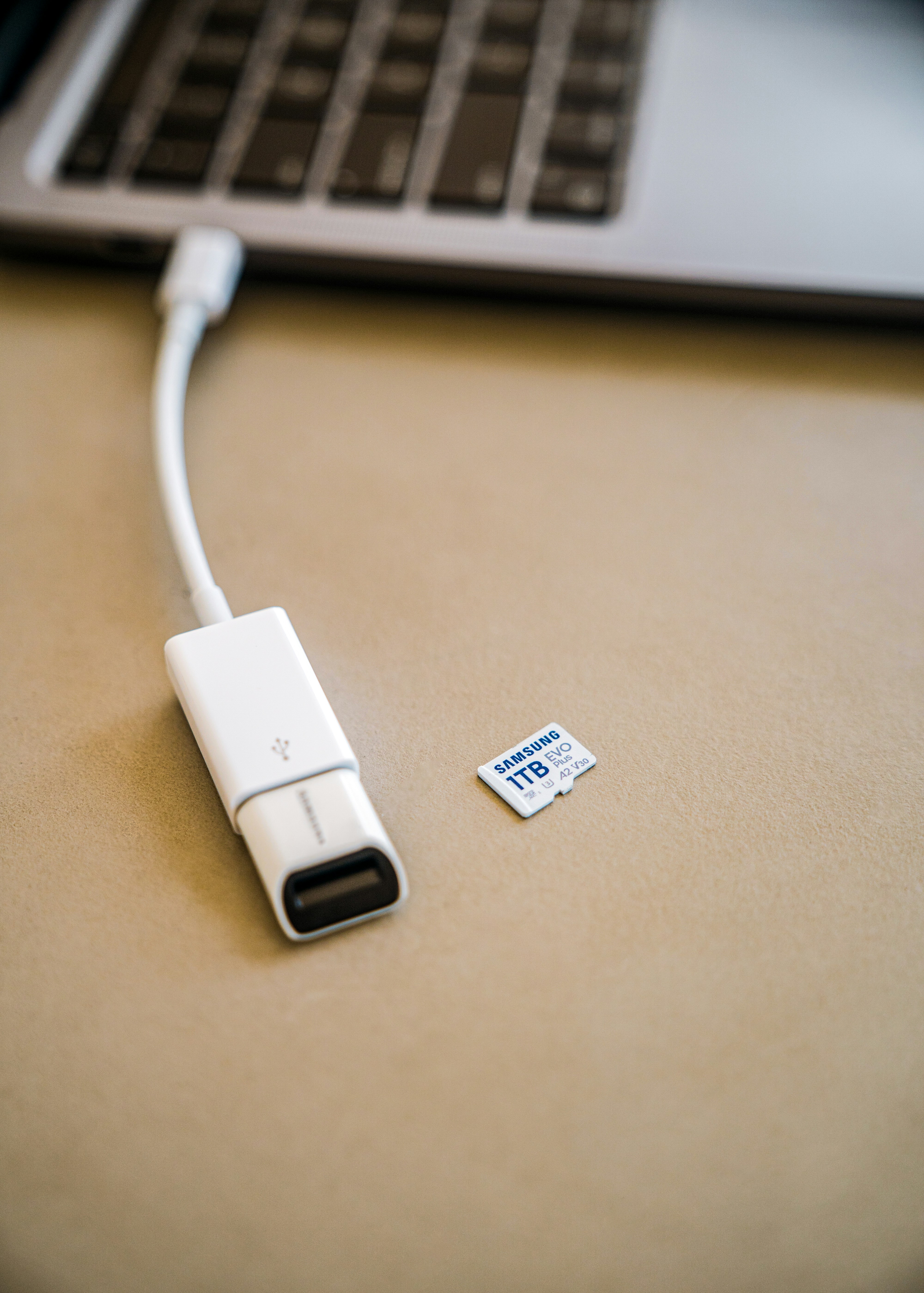 Photo by samsungmemory