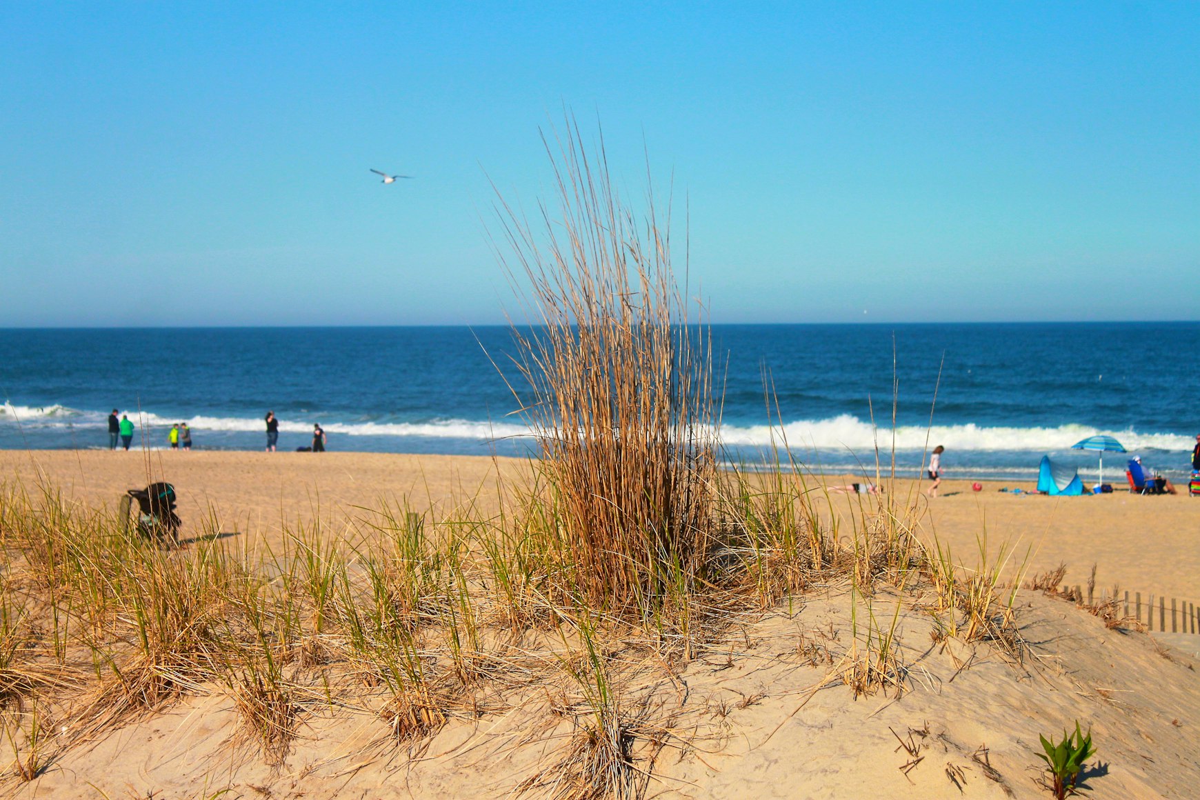 Ocean City Beach Maryland