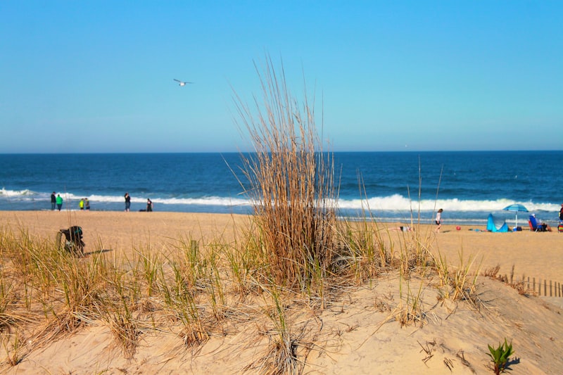 Ocean City Beach Maryland