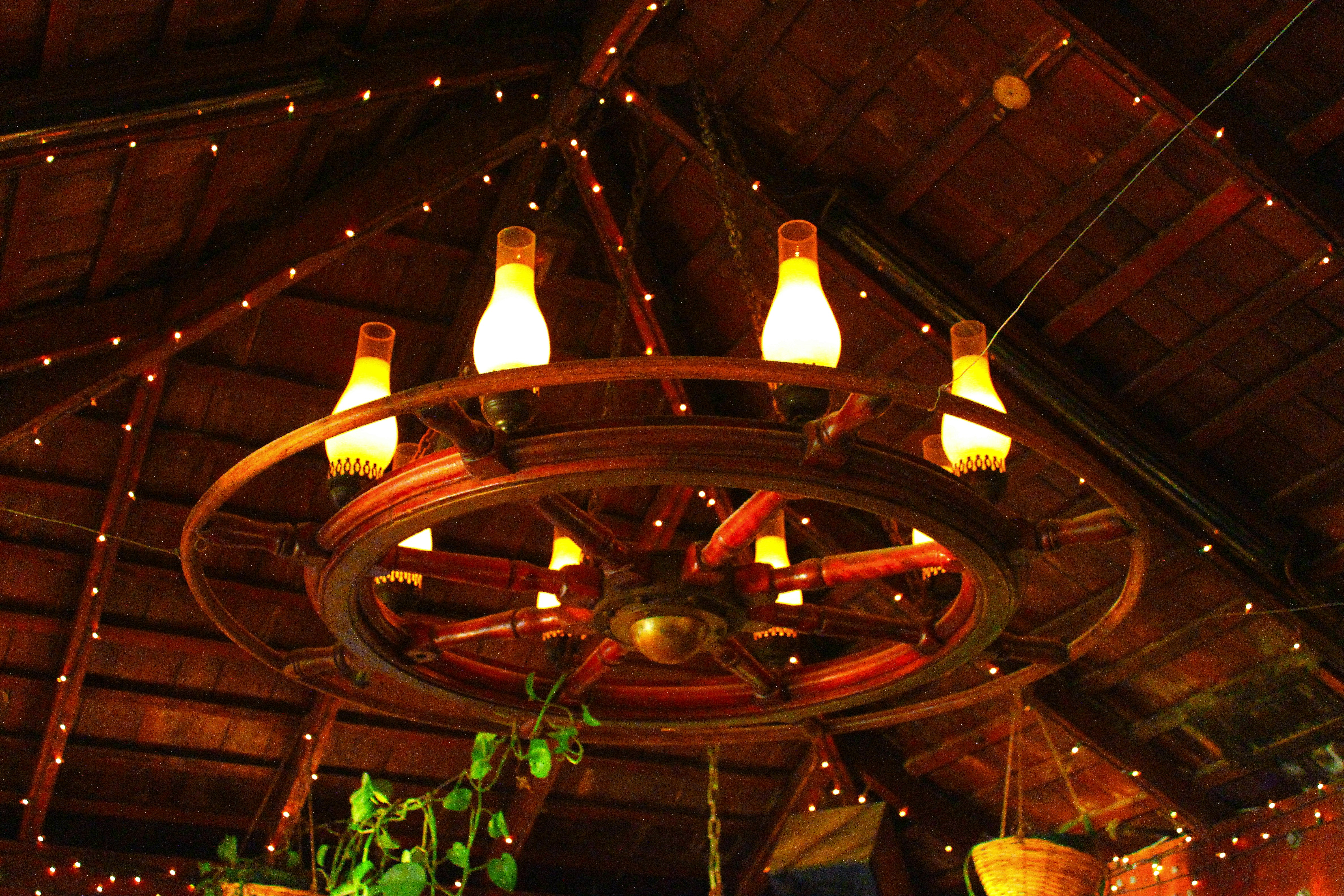 Golden Star Restaurant Seminole Menu