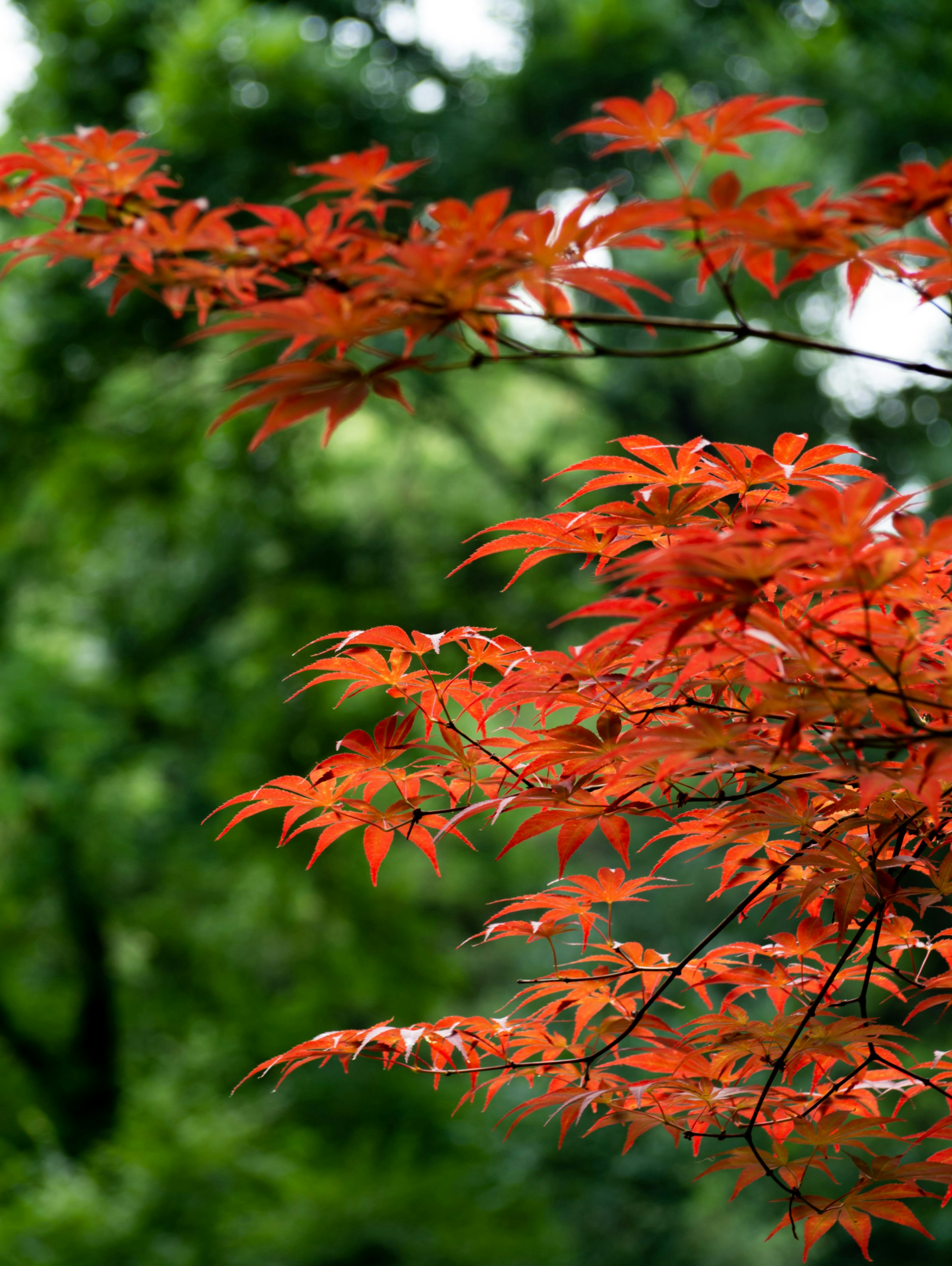 Photo by siriusharrison