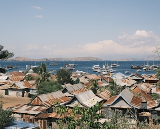 A group of boats floating on top of a body of water