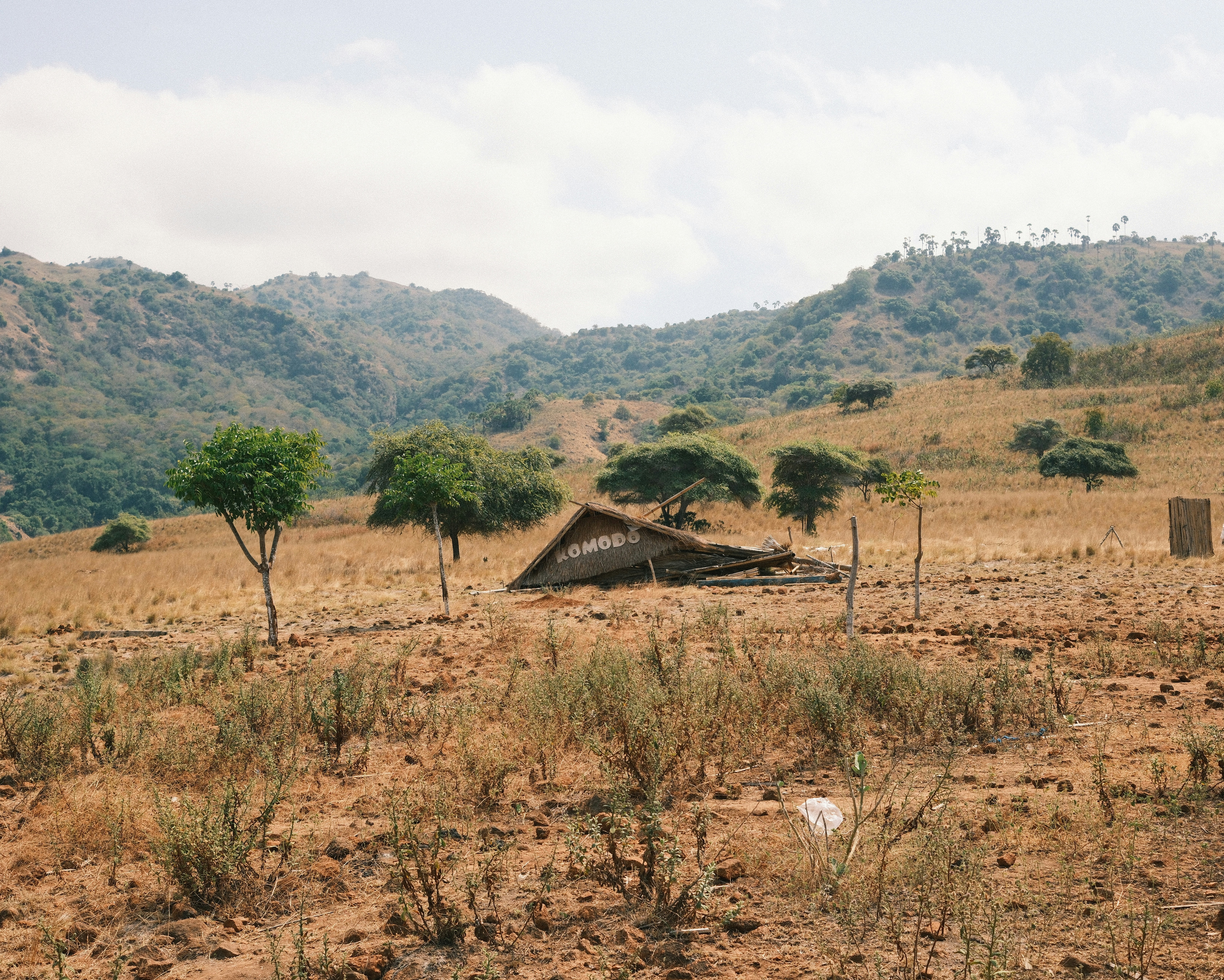A small hut in the middle of a field