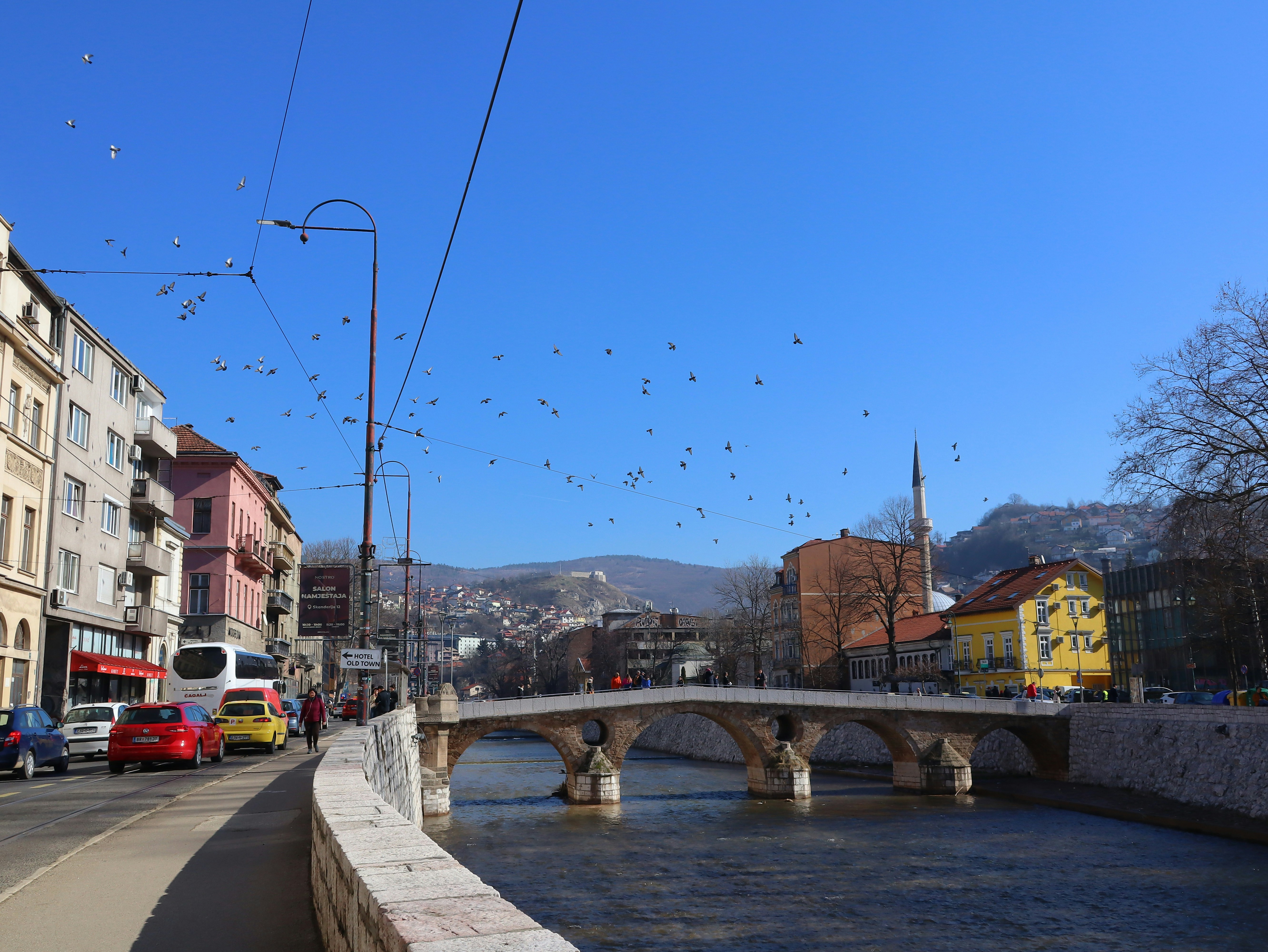Sarajevo Roses