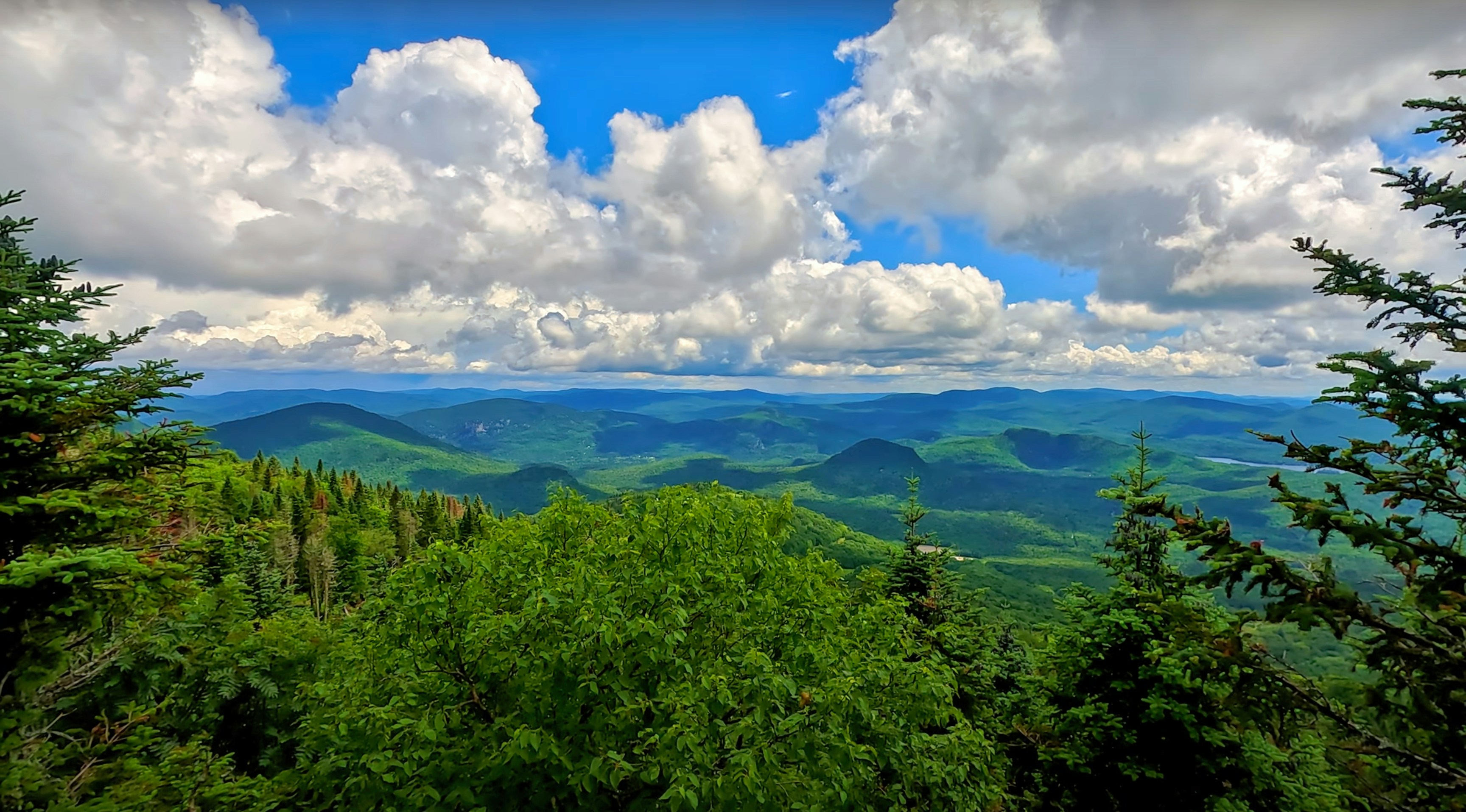 Photo by surjasendas