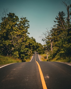 An empty road in the middle of a forest