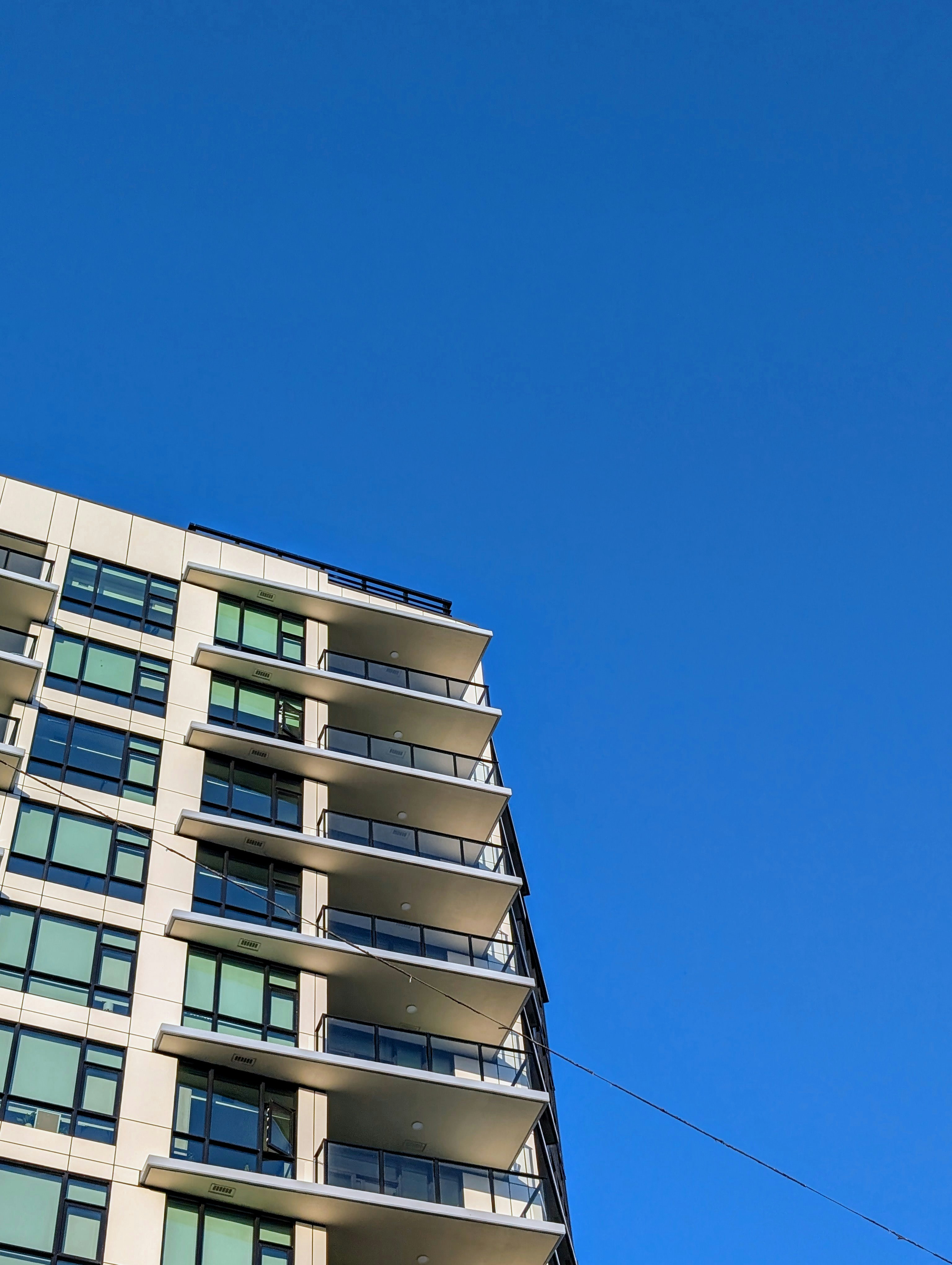 Photo by holychicken99