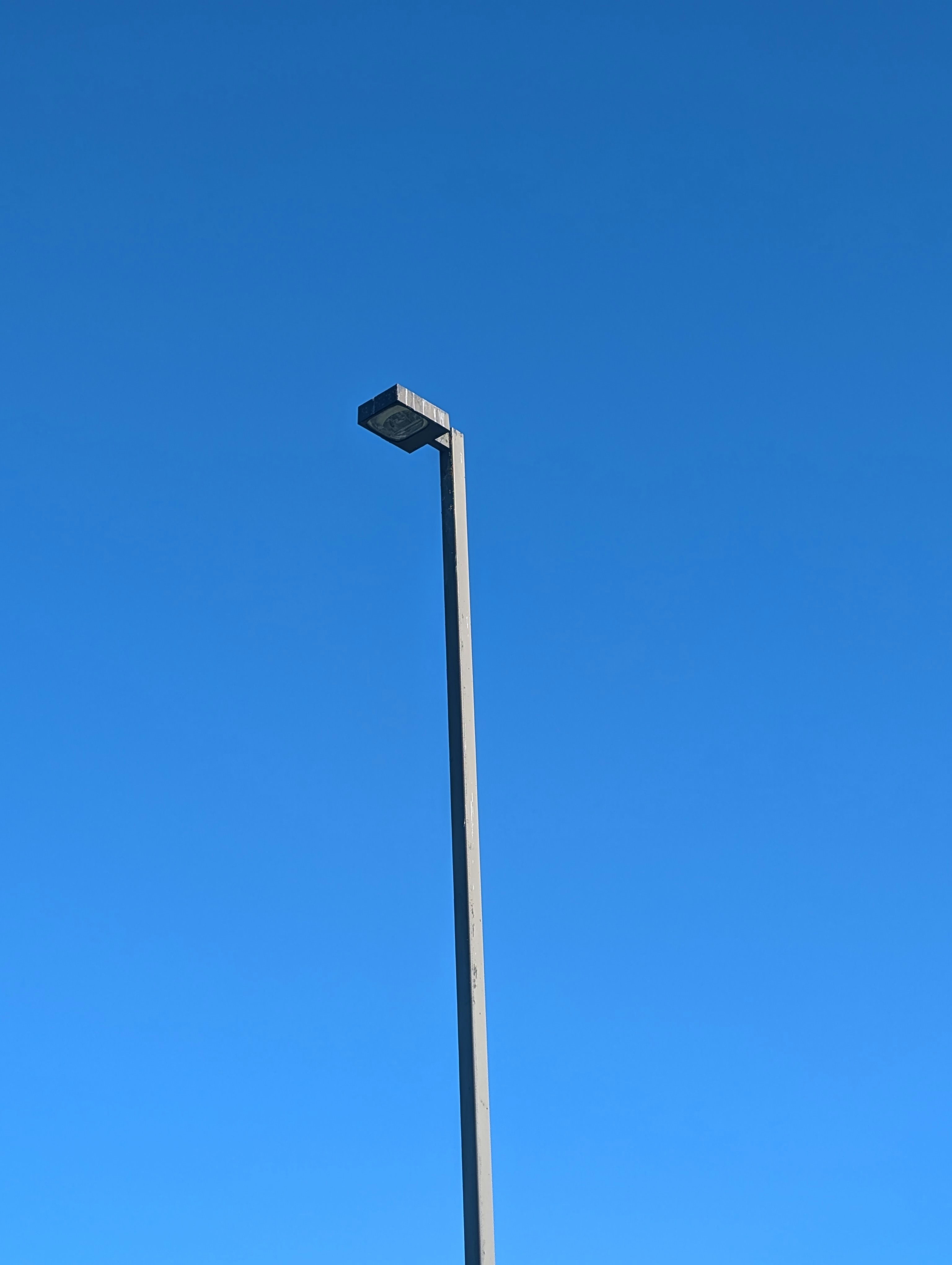 Photo by holychicken99