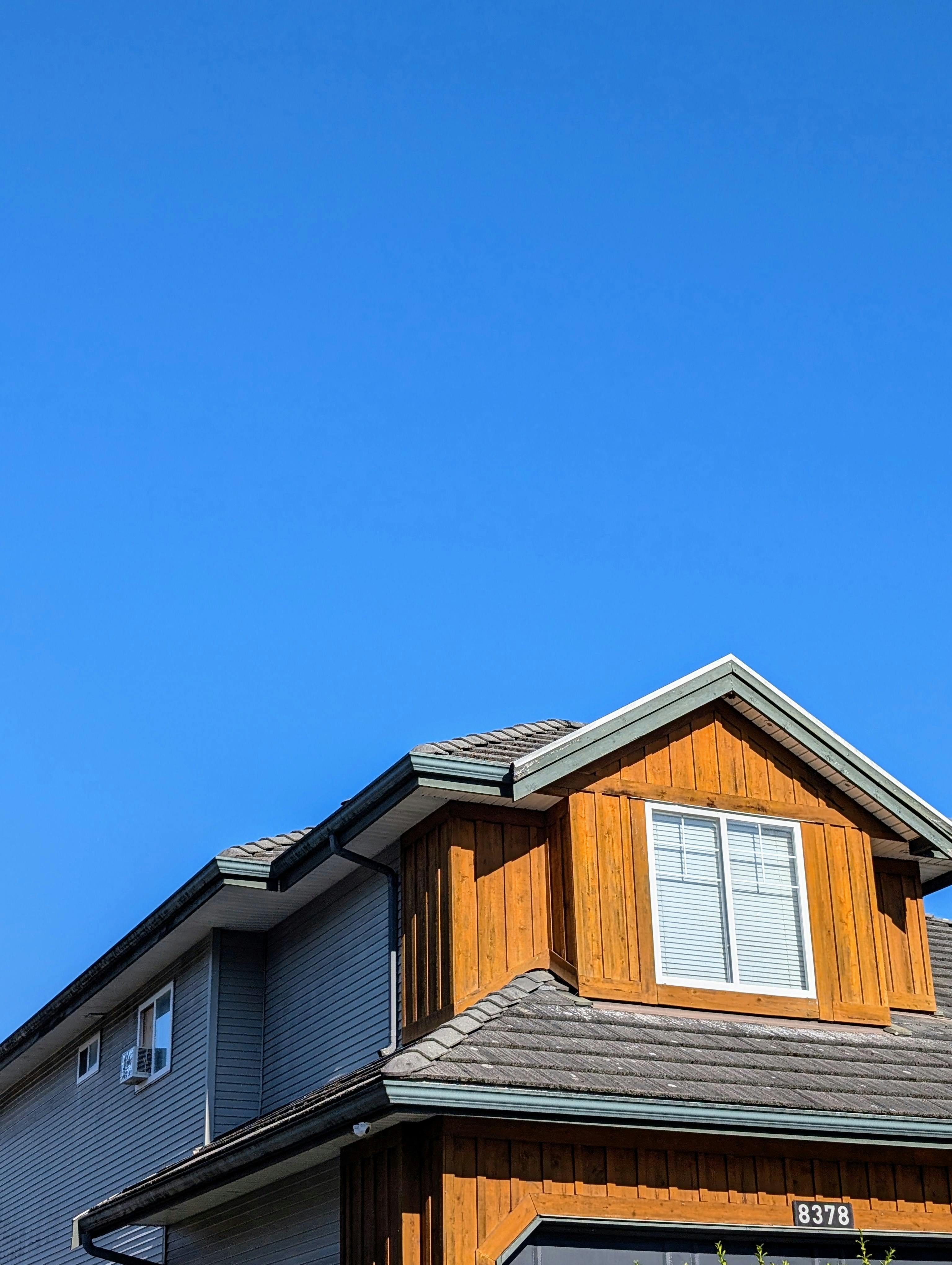 Photo by holychicken99