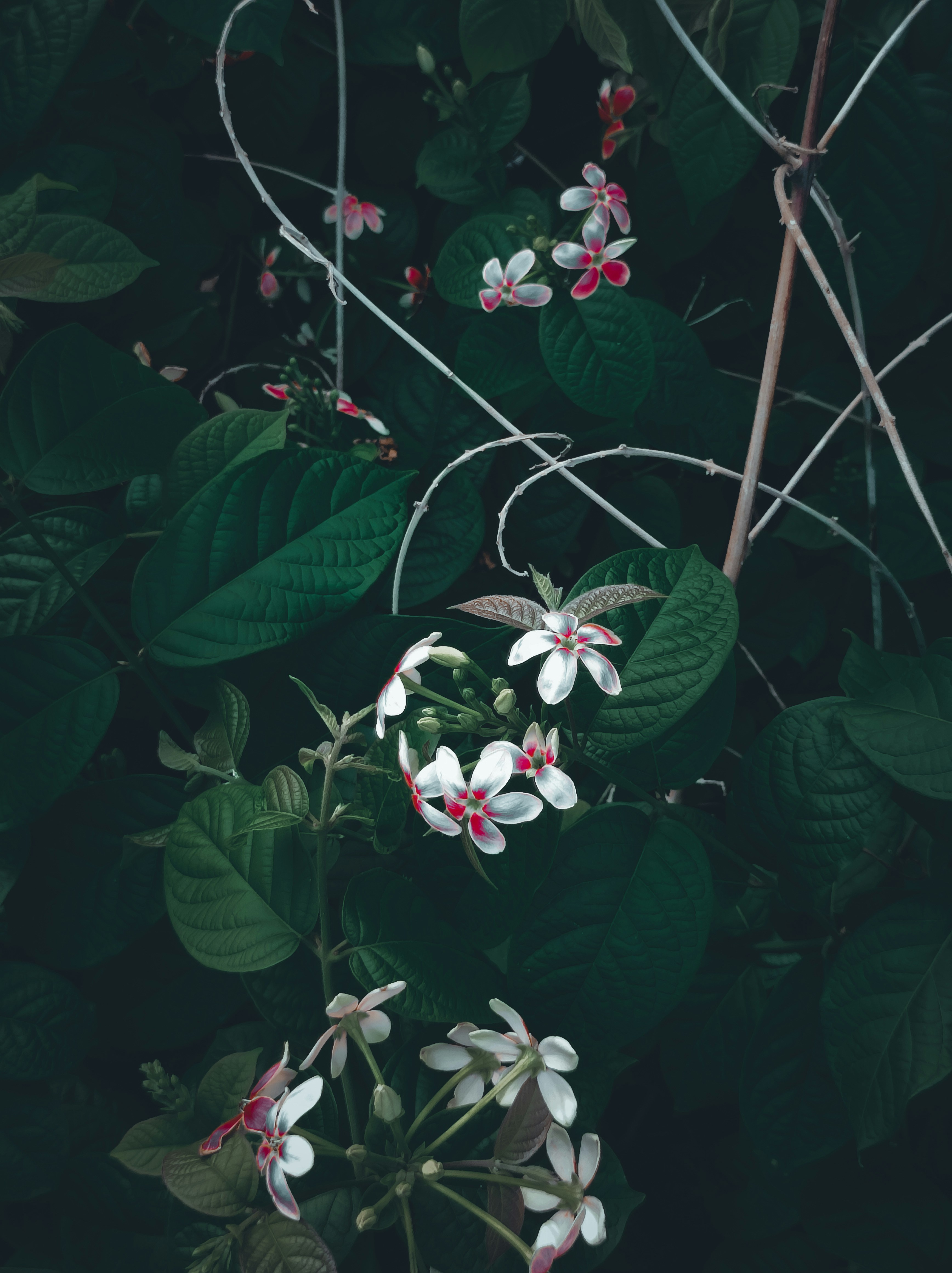 Photo by singhvi_shrey