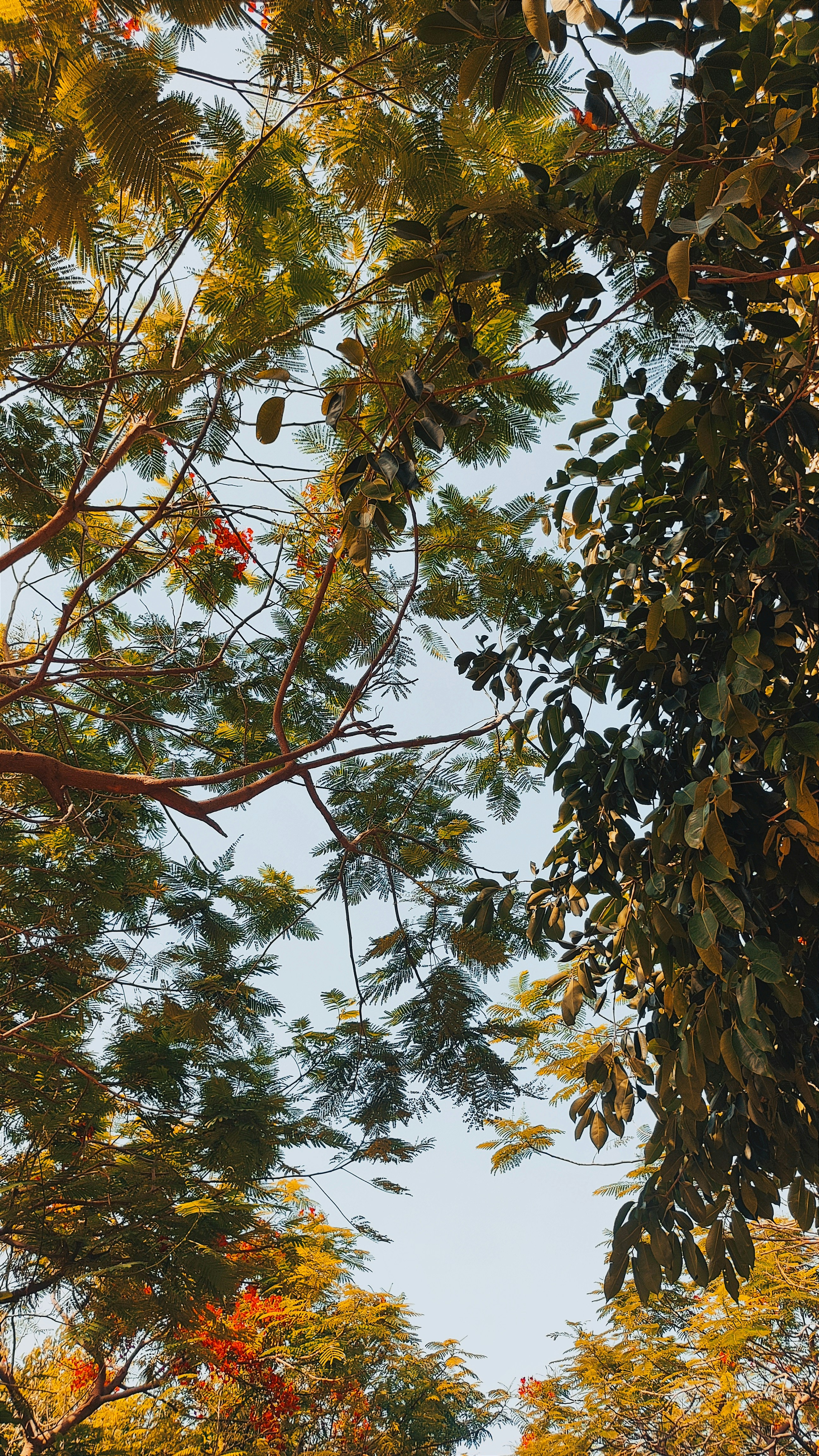 Photo by singhvi_shrey