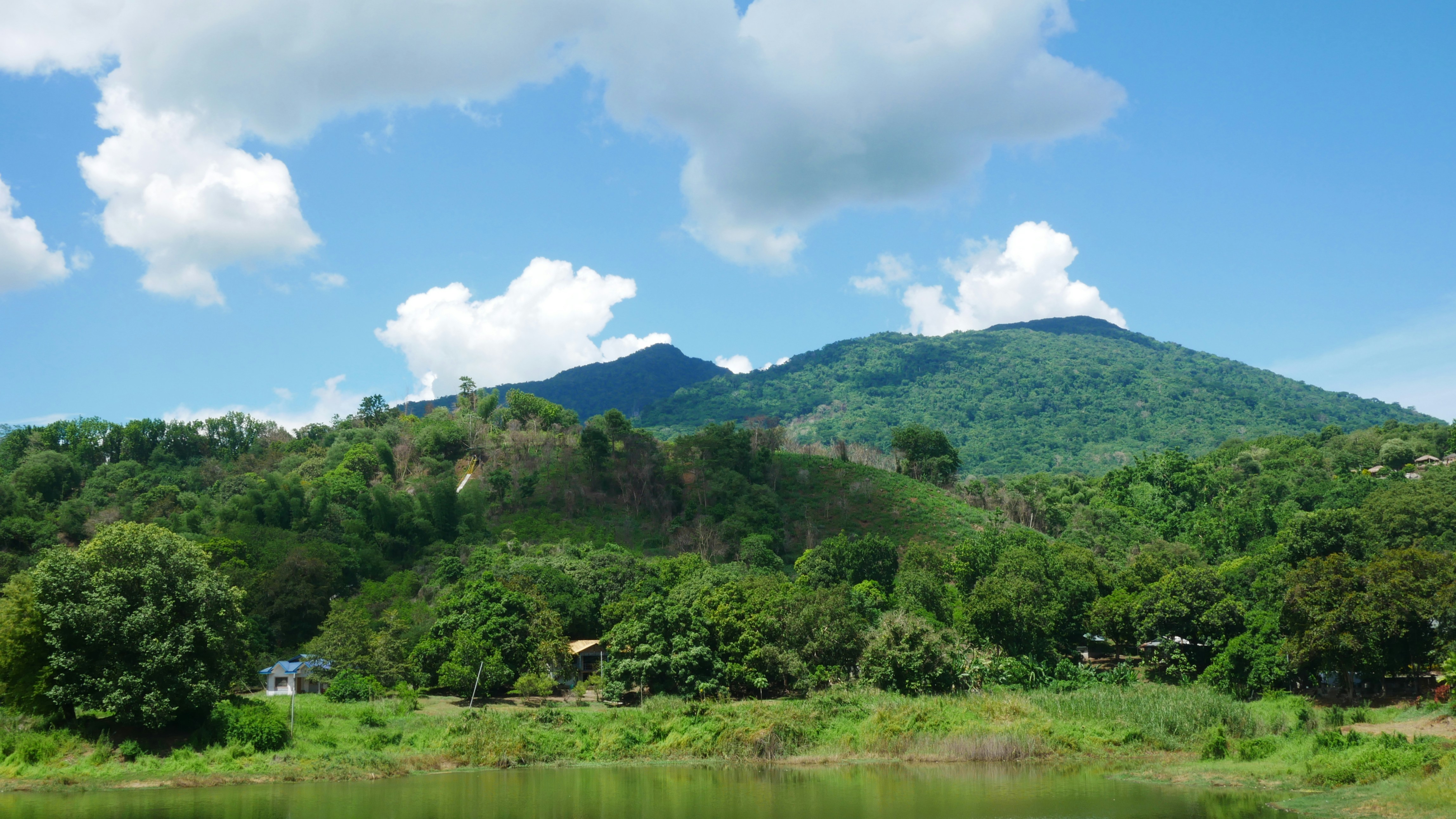 Photo by jeanieworks